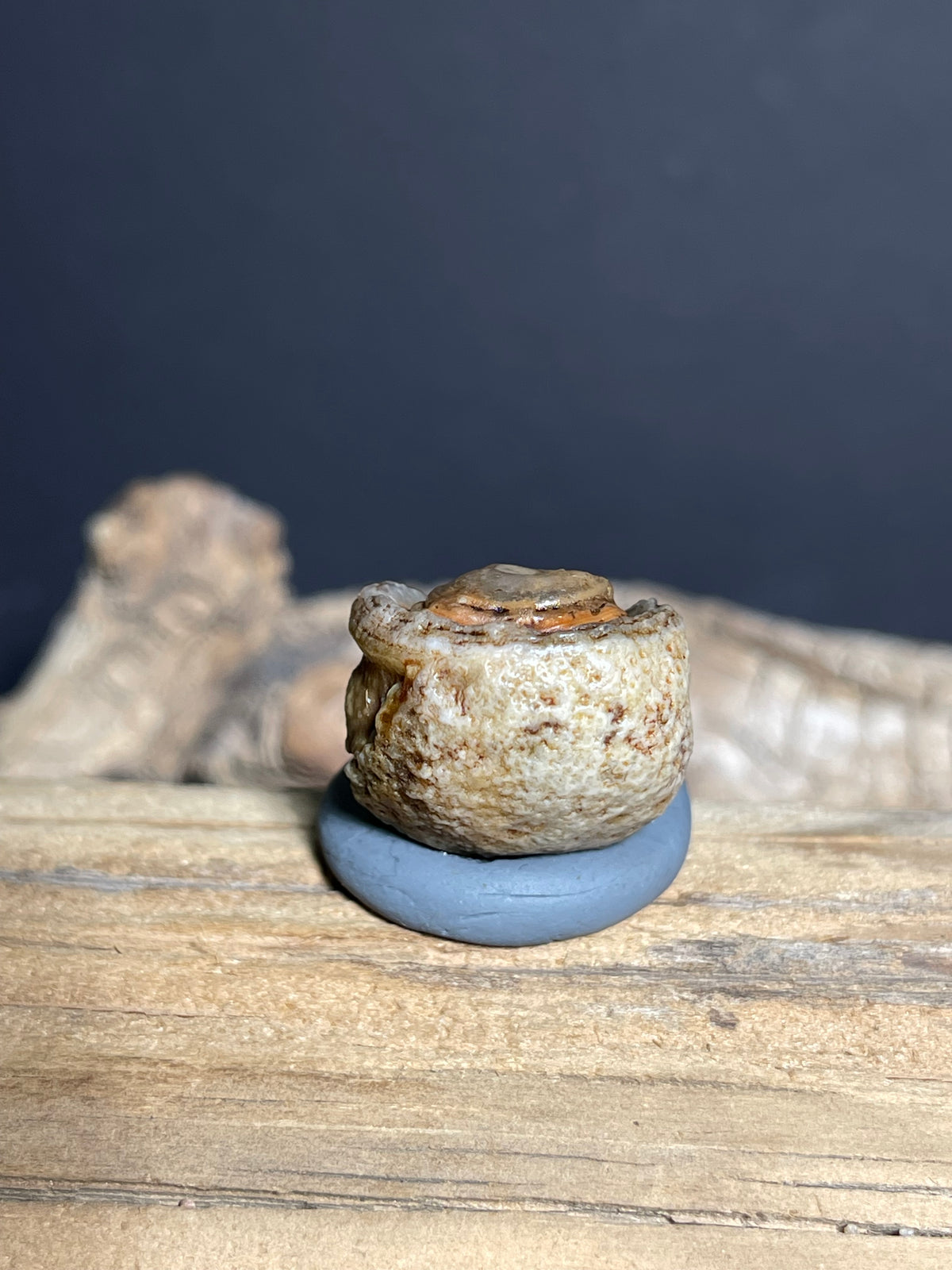 (1088)Natural Alxa Gobi Eye Agate - Raised Orbicular Eye