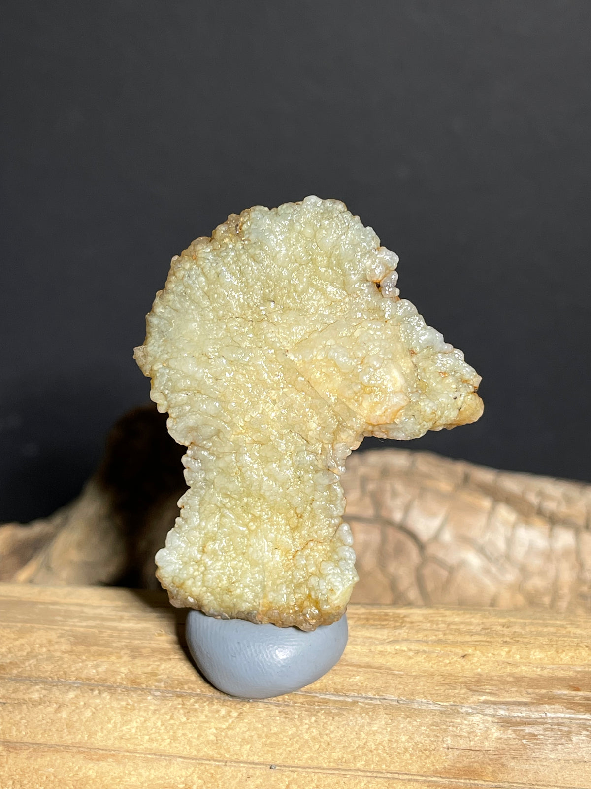 (1131) Natural Alxa Gobi Agate Mimetolith- Bird-Like Form with Botryoidal Texture