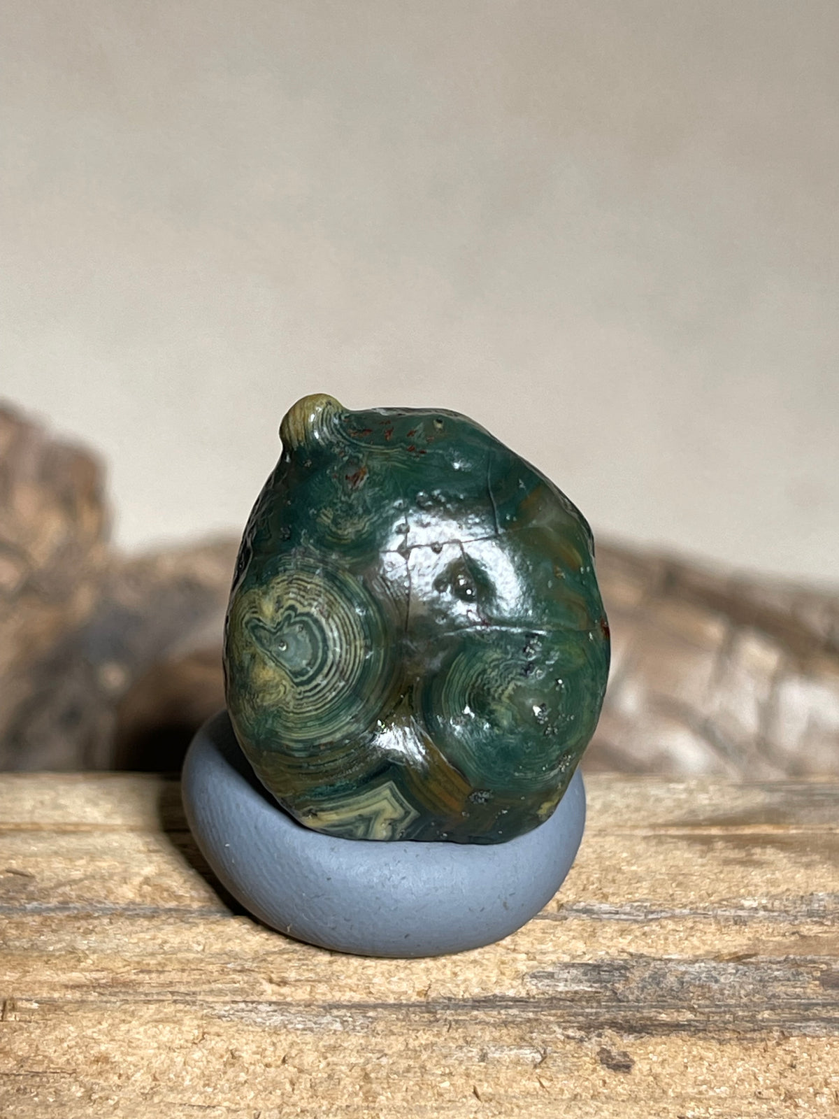 (1116)Natural Alxa Gobi Green Eye Agate - Multiple Concentric Orbicular Patterns