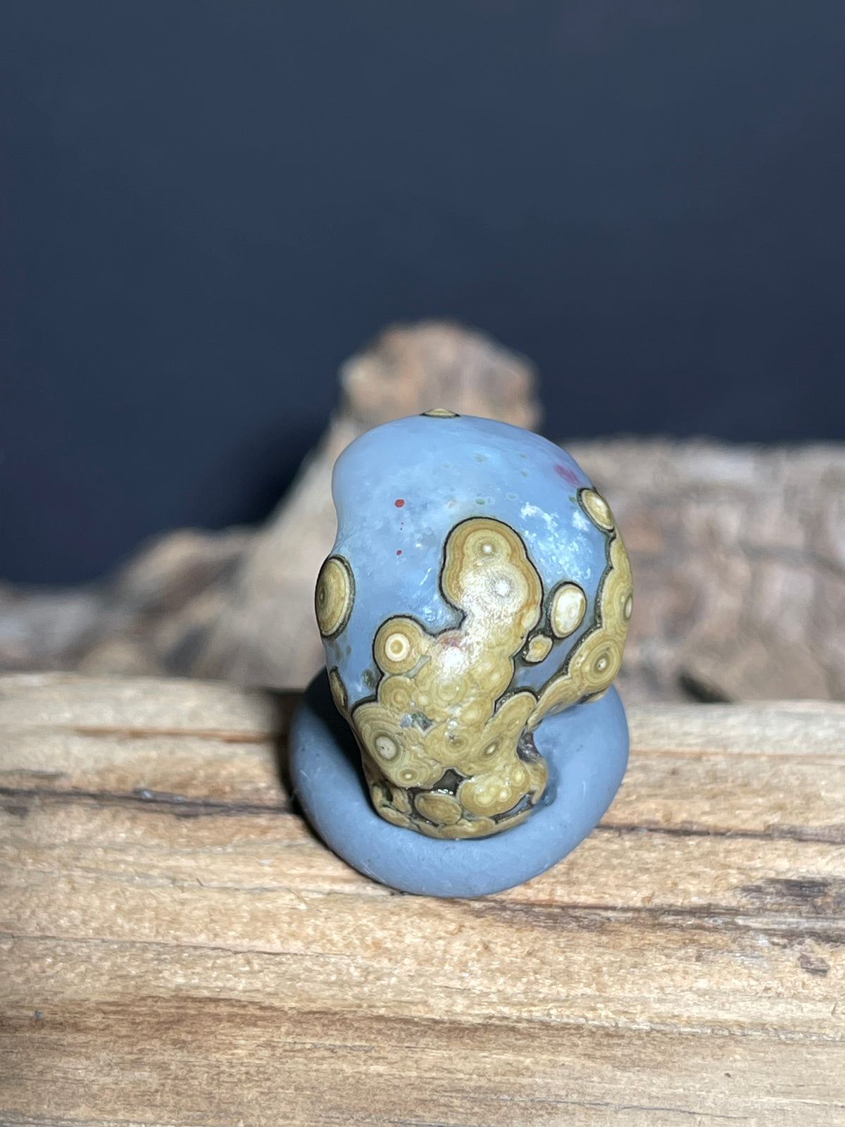 (1017)Natural Alxa Gobi Eye Agate - Blue Gray Stone with Golden Orbicular Eyes