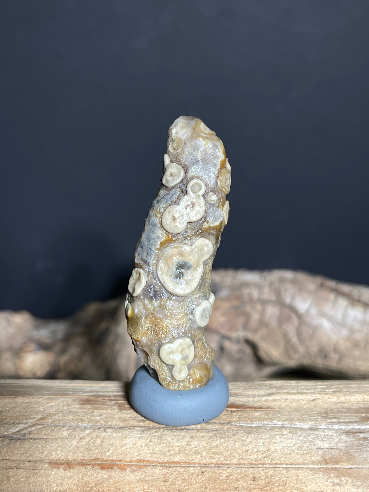 (1030)Natural Alxa Gobi Eye Agate - Elongate Stone with Raised Multi-Eye Patterns