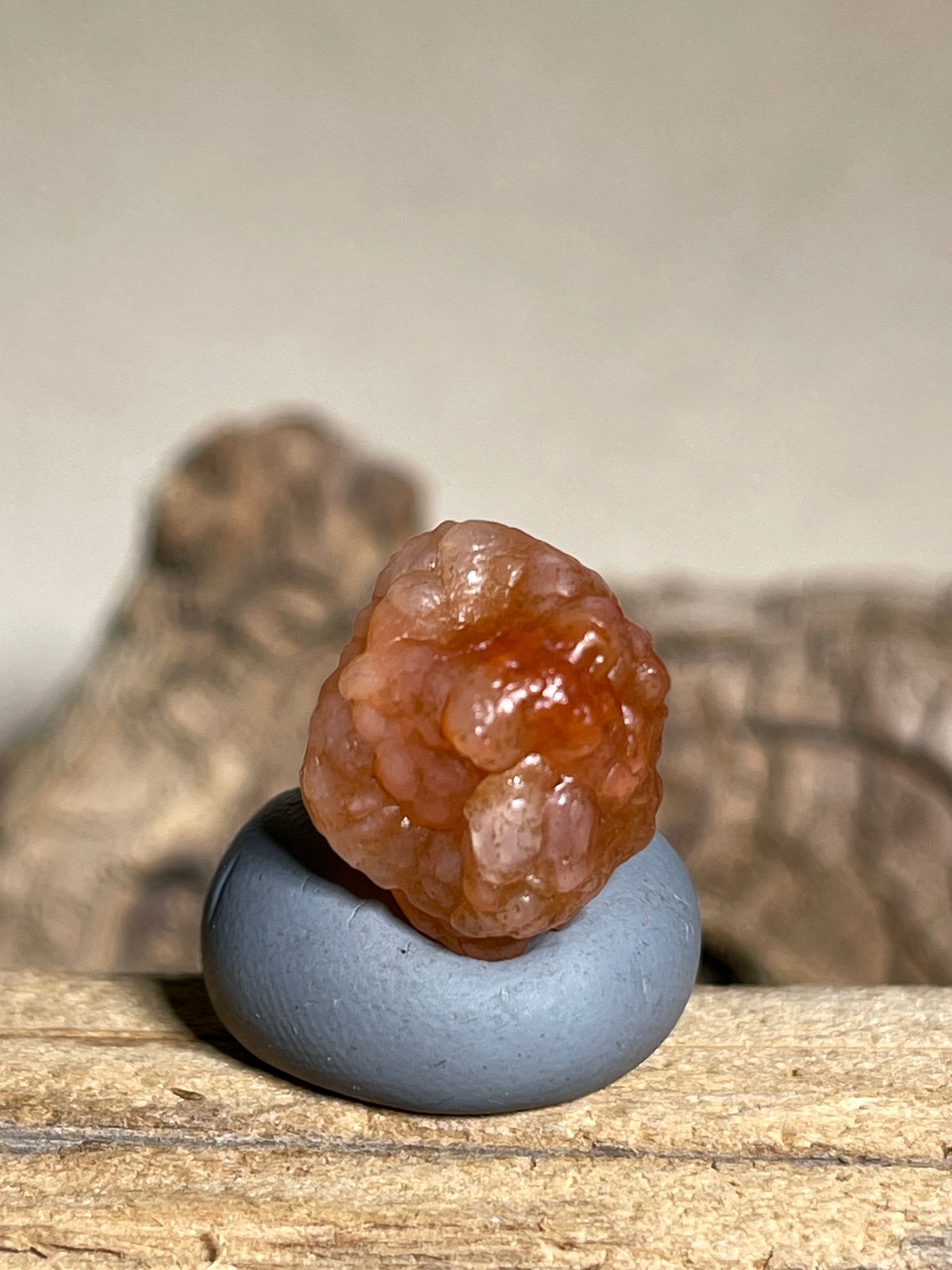 (1118)Natural Alxa Gobi Bloodline Vein Agate - Translucent Orange Botryoidal Specimen