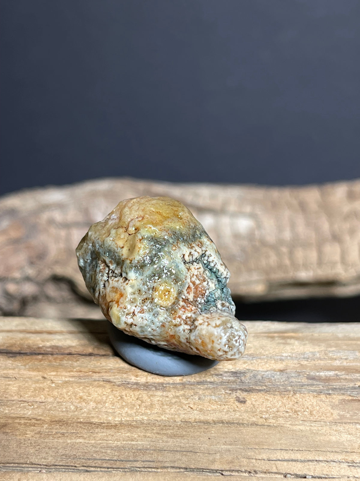 (1074)Natural Alxa Gobi Agate - Clown-Like Mimetolith with Botryoidal Texture