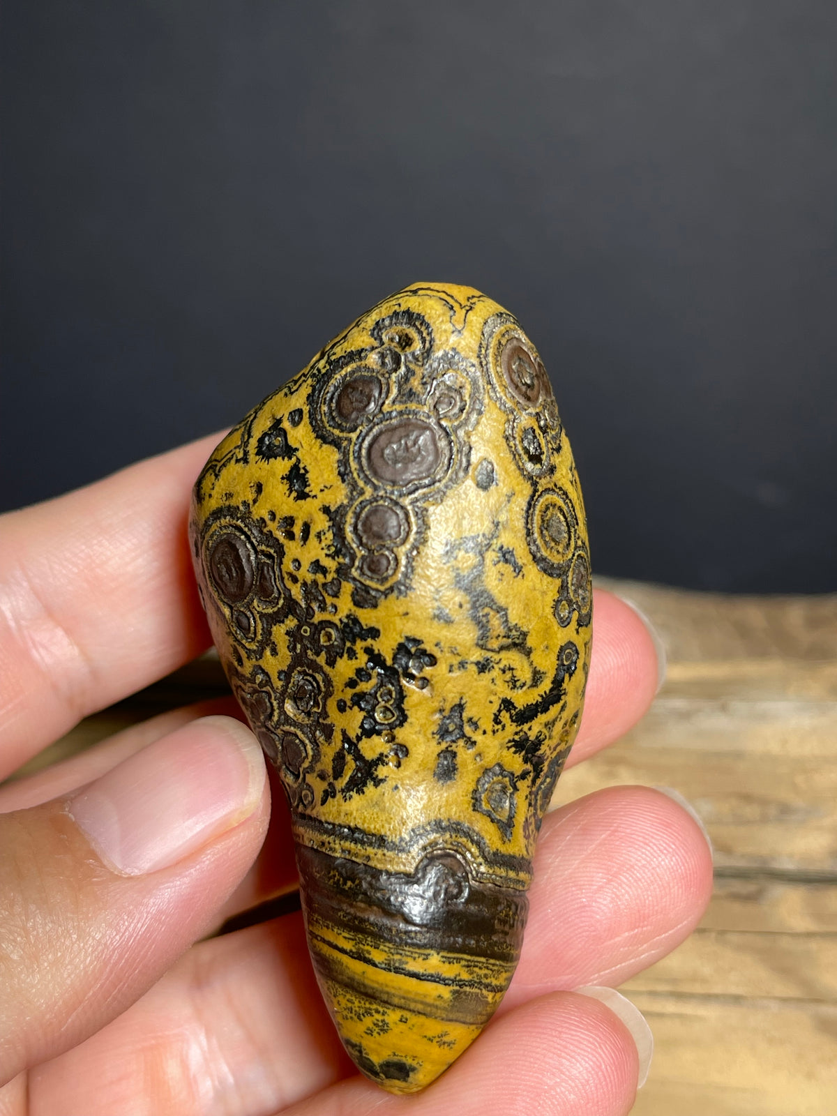 (1133) Natural Alxa Gobi Eye Agate – Golden Orbicular Patterns& Face-Like Mimetolith
