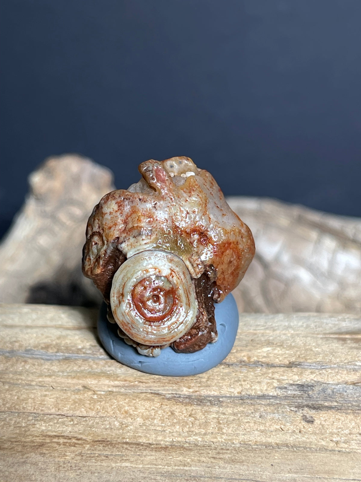 (1081)Natural Alxa Gobi Eye Agate - Animal-Like Single Eye Formation