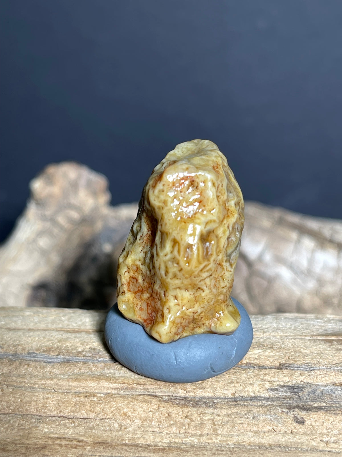 (1082)Natural Alxa Gobi Vein Agate - Golden Yellow Maze pattern
