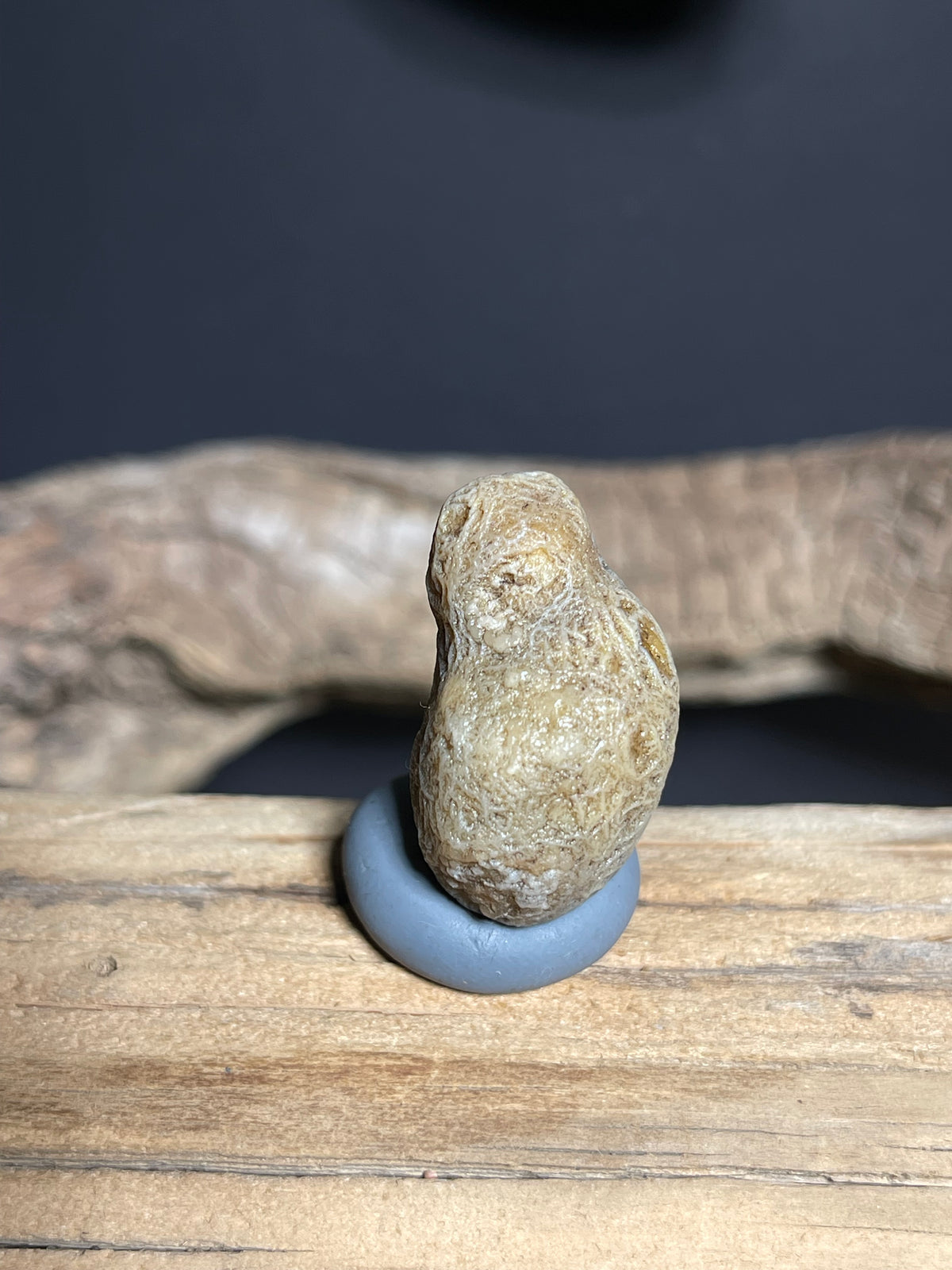(1065)Natural Alxa Gobi Vein Agate - Dense Branching Vein Patterns