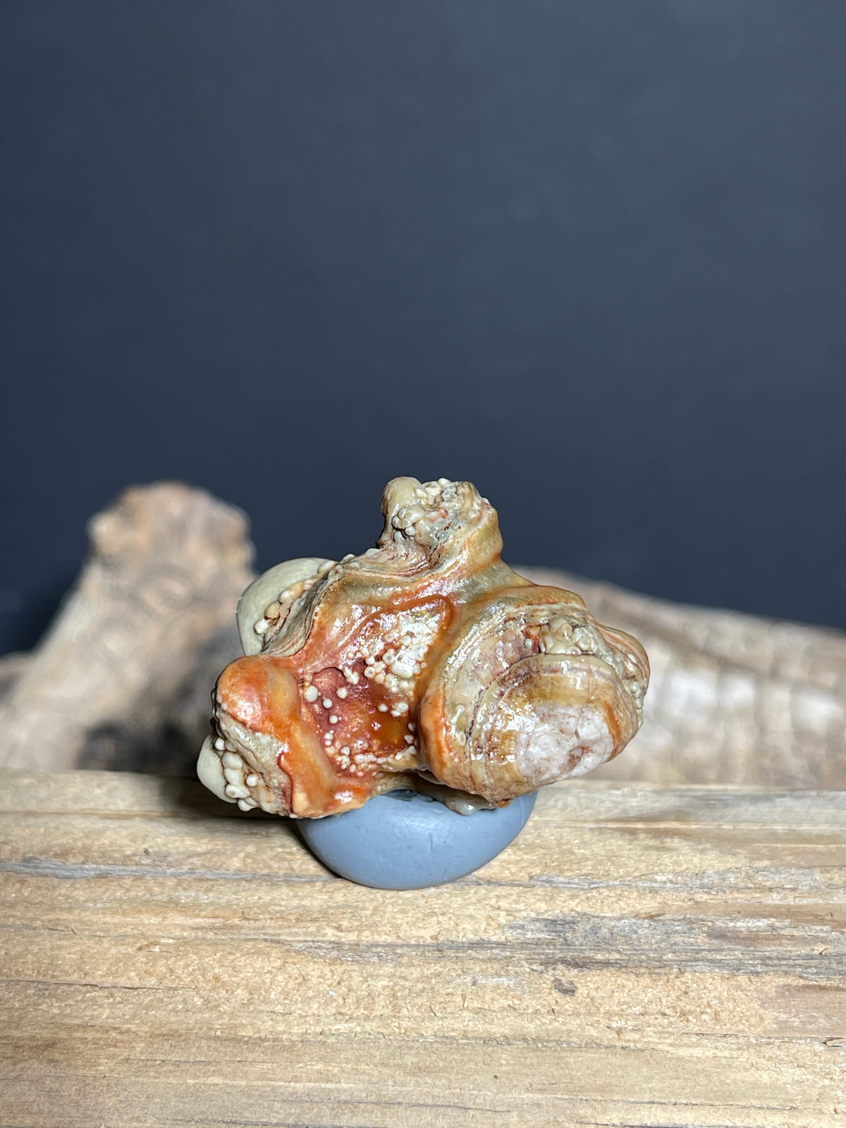 (1099)Natural Alxa Gobi Eye Agate - Multi-Eye Orbicular Stone with Botryoidal Texture