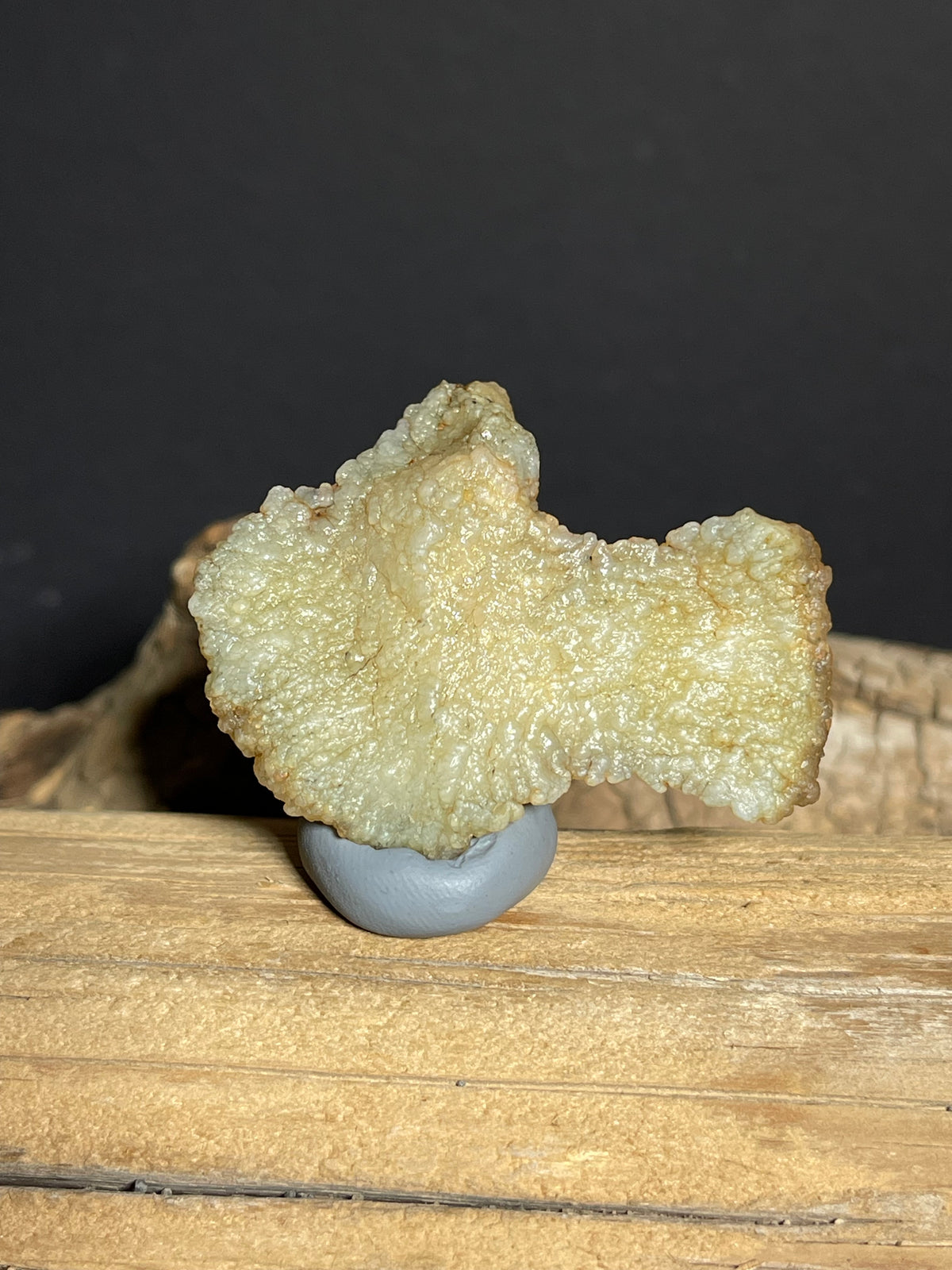 (1131) Natural Alxa Gobi Agate Mimetolith- Bird-Like Form with Botryoidal Texture