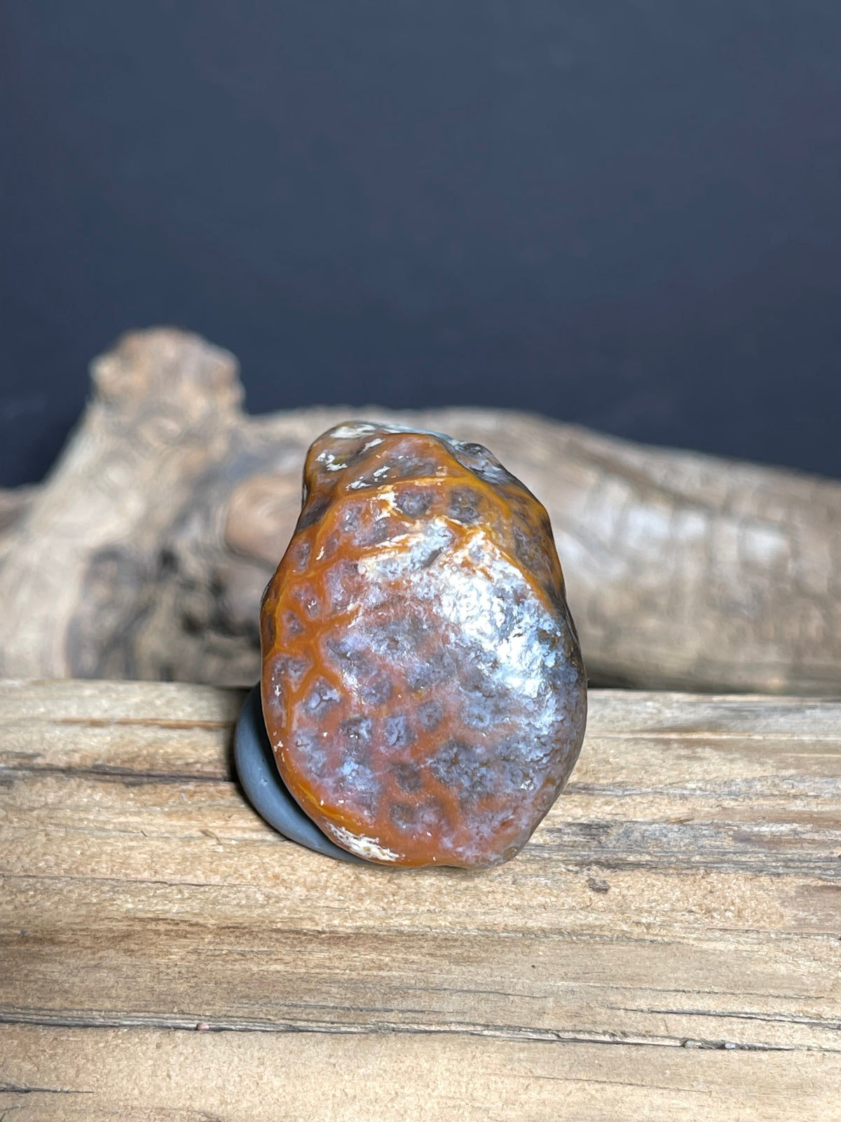 (1058)Natural Alxa Gobi Vein Agate - Orange Network Pattern Desert Stone