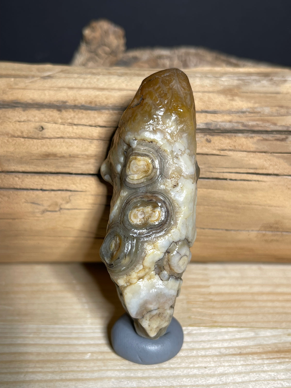 (1132) Alxa Gobi Eye Agate Specimen- Multiple Orbicular Eyes& natural weathering