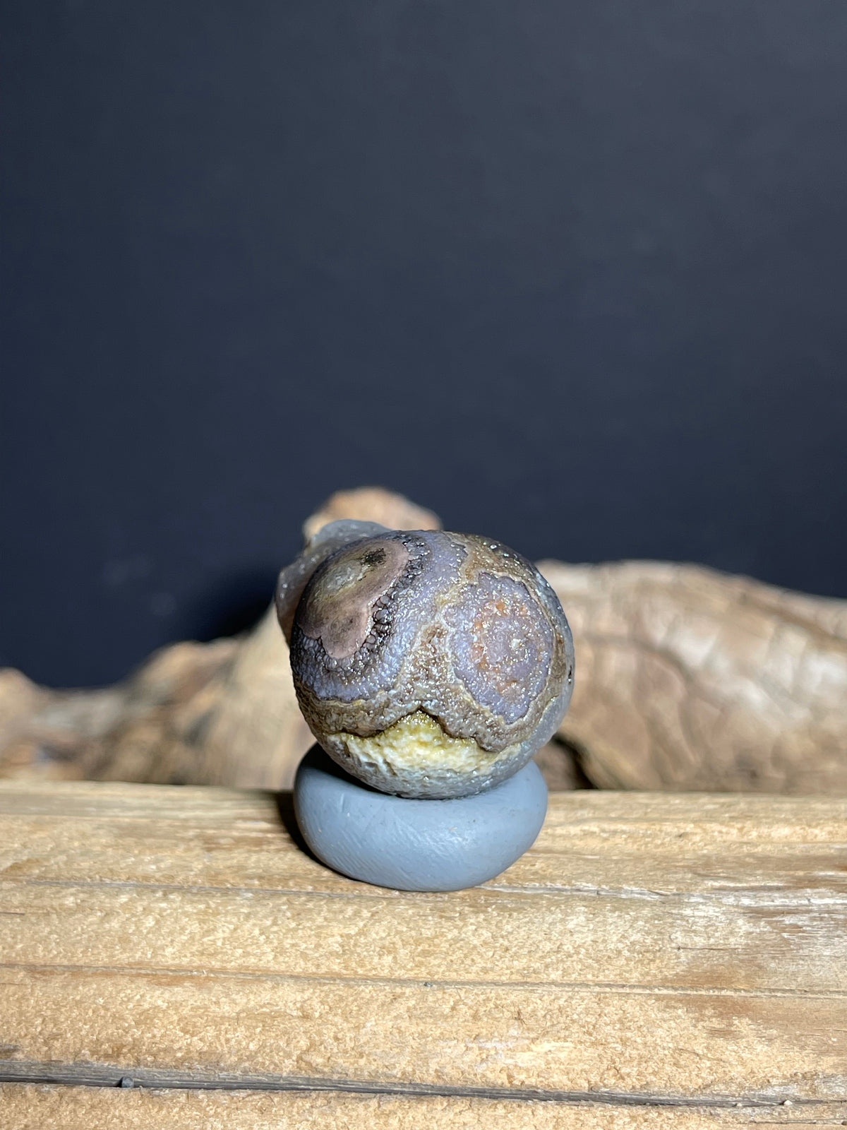 (1125)  Natural Alxa Gobi Eye Agate- Large Concentric Eye & Gourd-Like Form