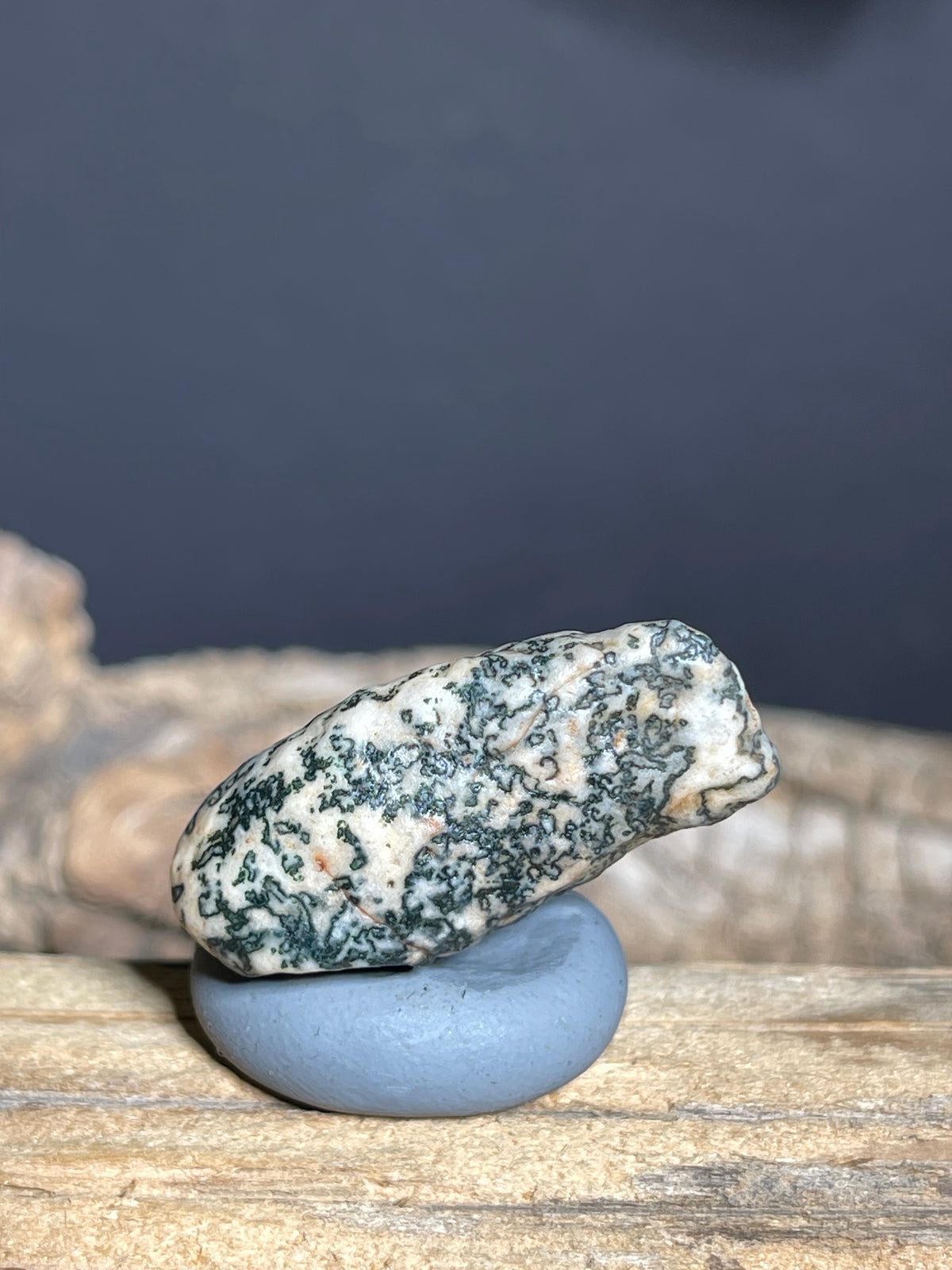 (1107)Natural Alxa Gobi Agate - Black Dendritic Pattern Collector stone
