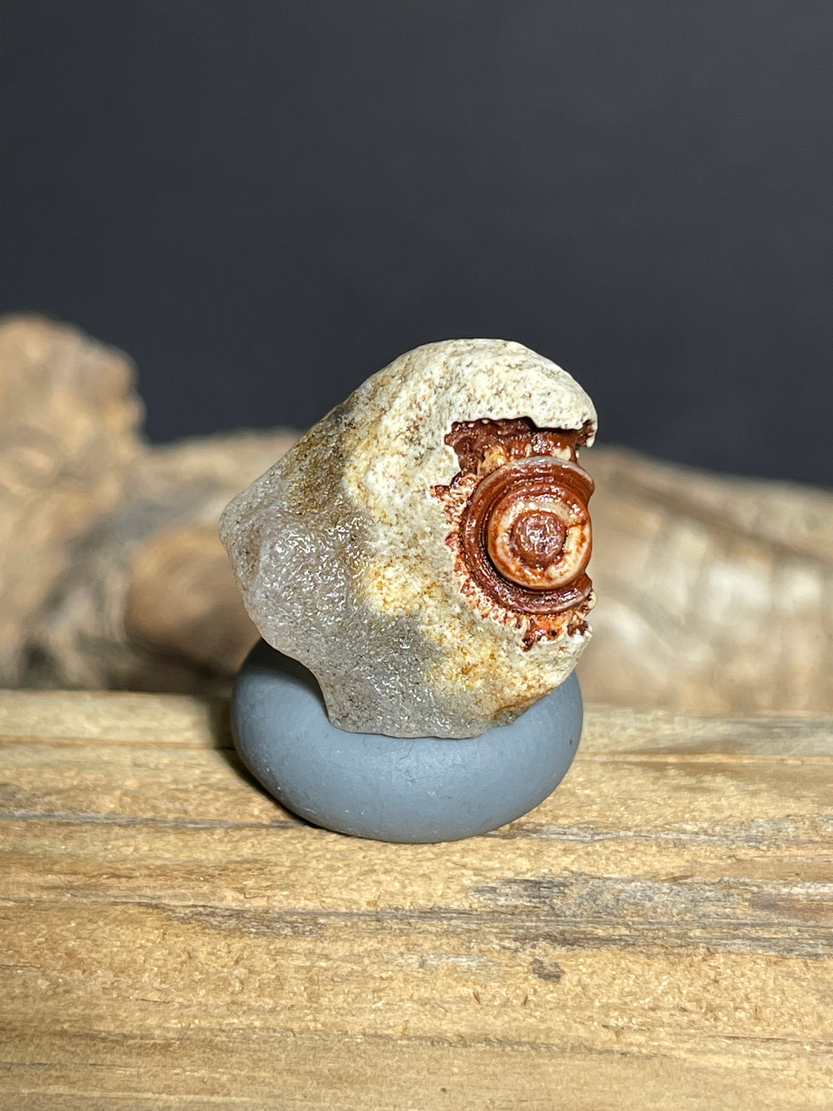 (1087)Natural Alxa Gobi Desert Eye Agate - Single Raised Red Eye