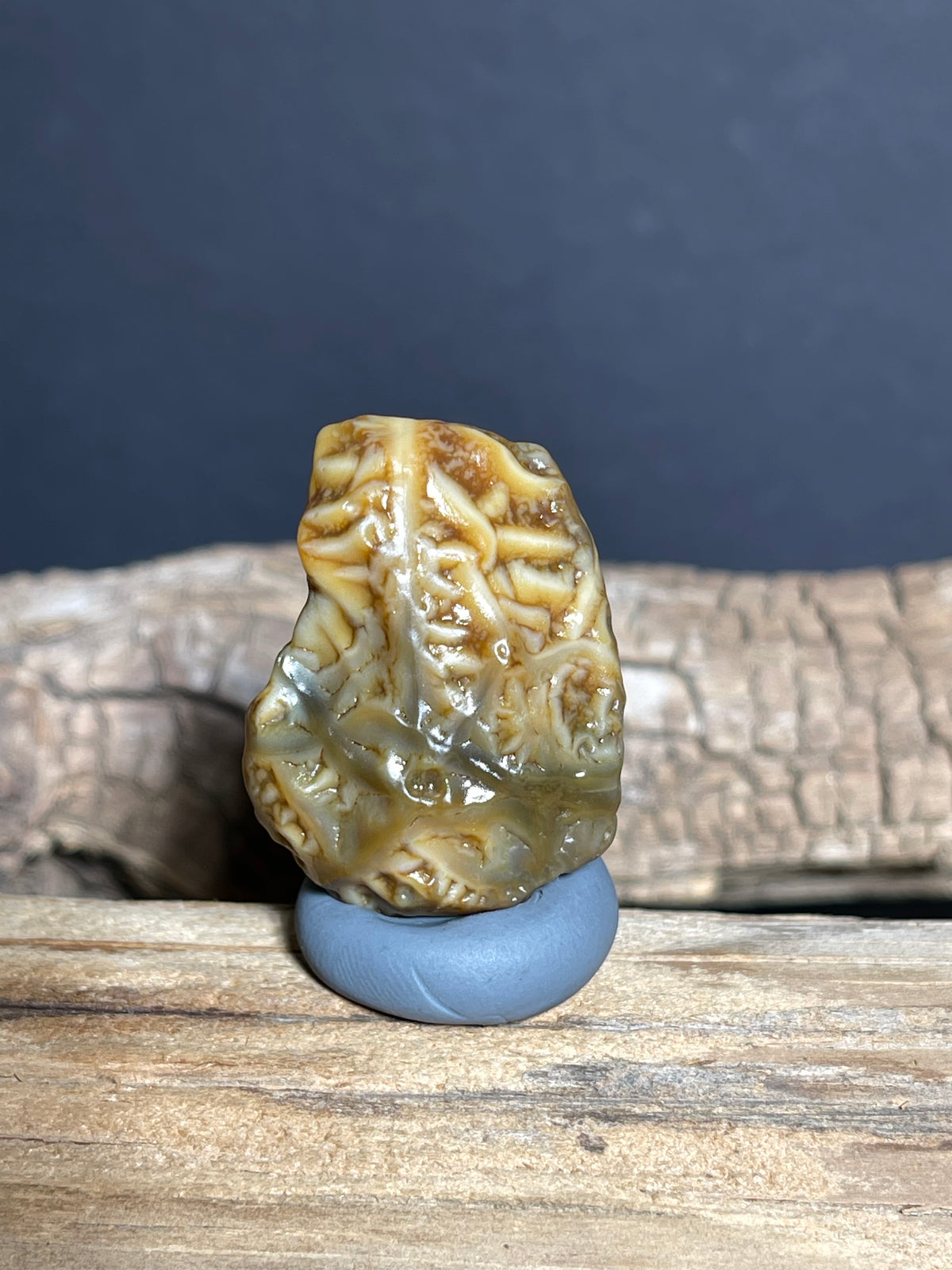 (1071)Natural Alxa Gobi Vein Agate - Branching Vein Patterns