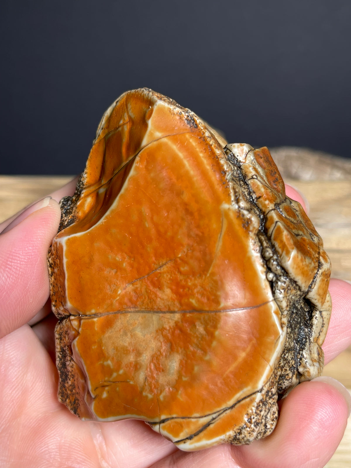 (1134) Alxa Gobi Desert Stone- Natural Desert Varnish& weathered surface