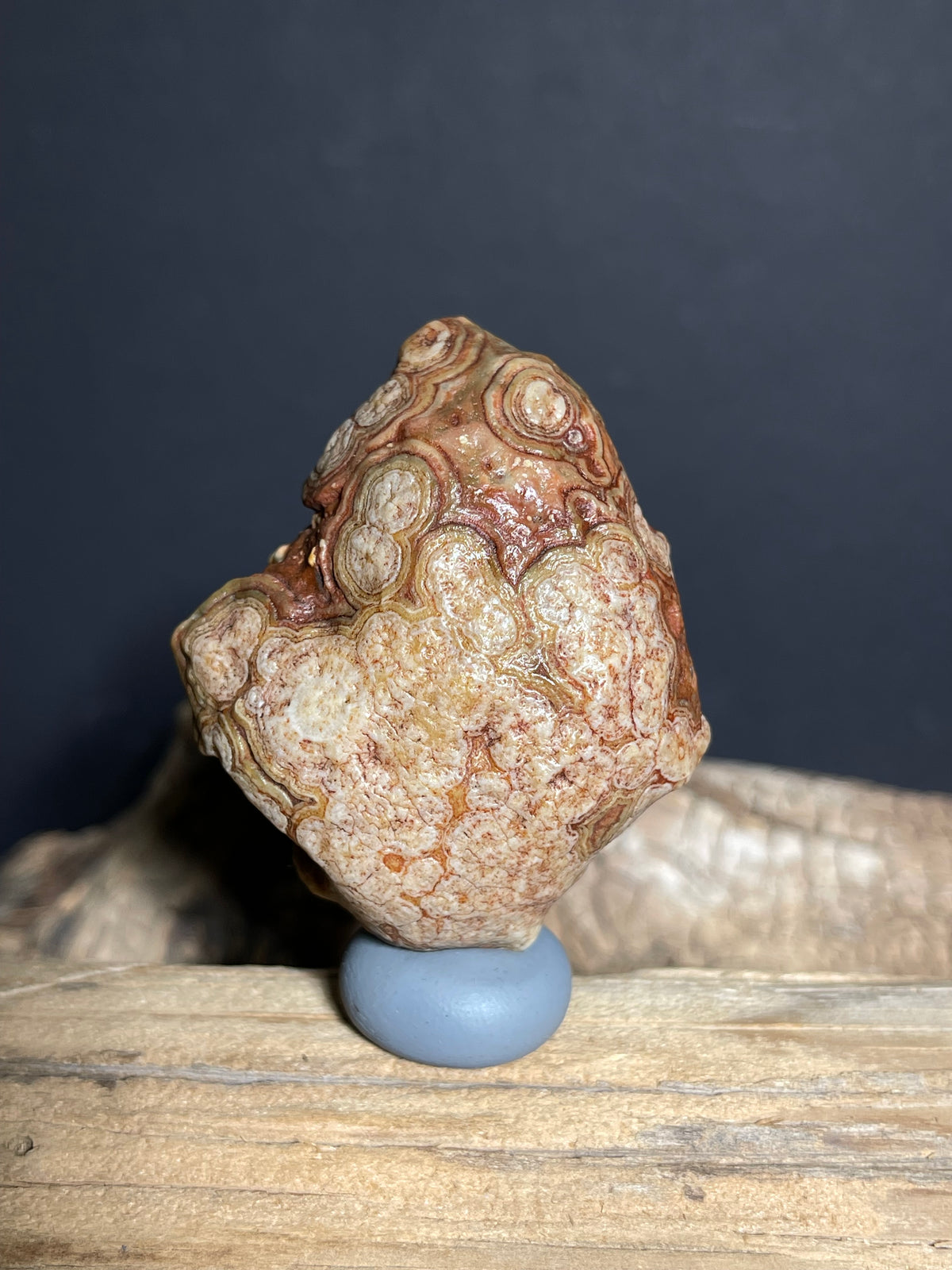 (1096)Natural Alxa Gobi Eye Agate - Multi-Eye Pattern Desert Specimen