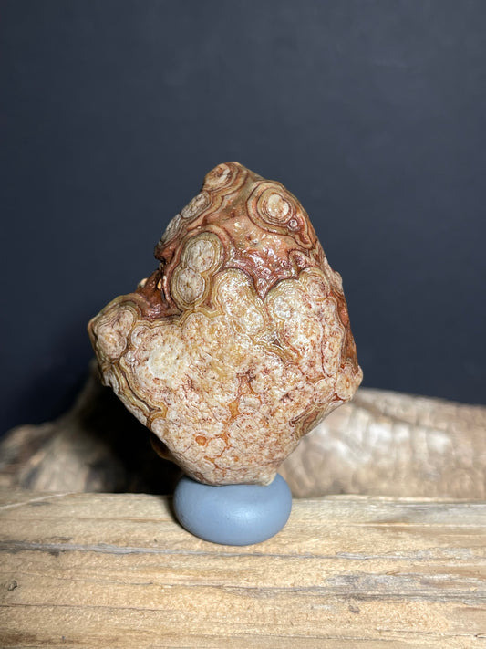 (1096)Natural Alxa Gobi Eye Agate - Multi-Eye Pattern Desert Specimen