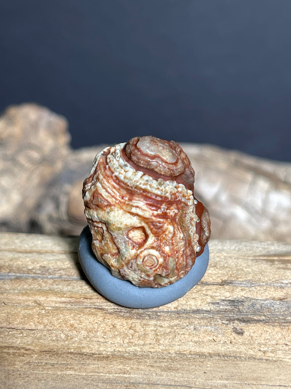 (1084)Natural Alxa Gobi Eye Agate - Multi-Eye Orbicular Pattern