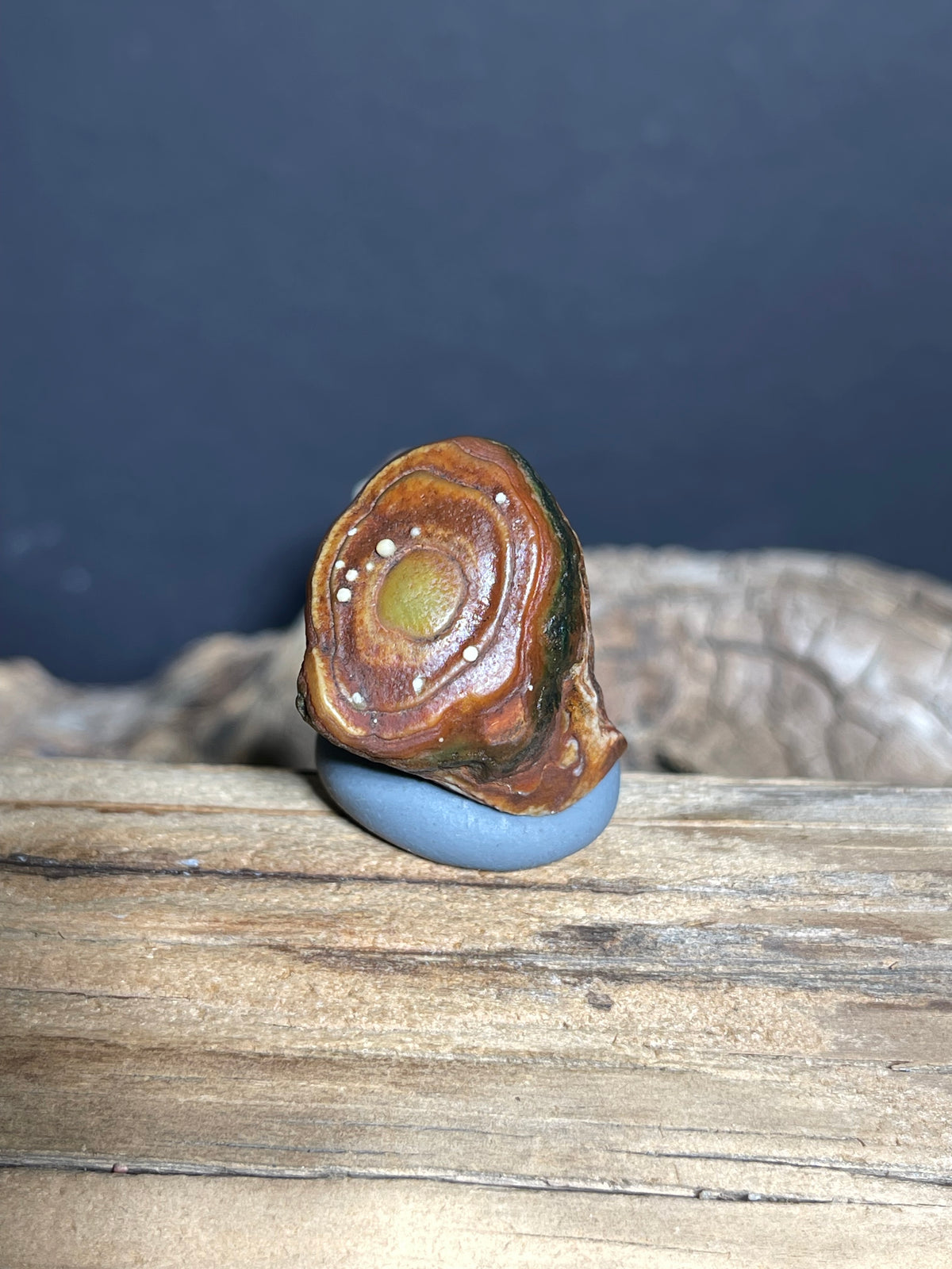 (1024)Natural Alxa Gobi Eye Agate - Owl-Like Double Eye Stone