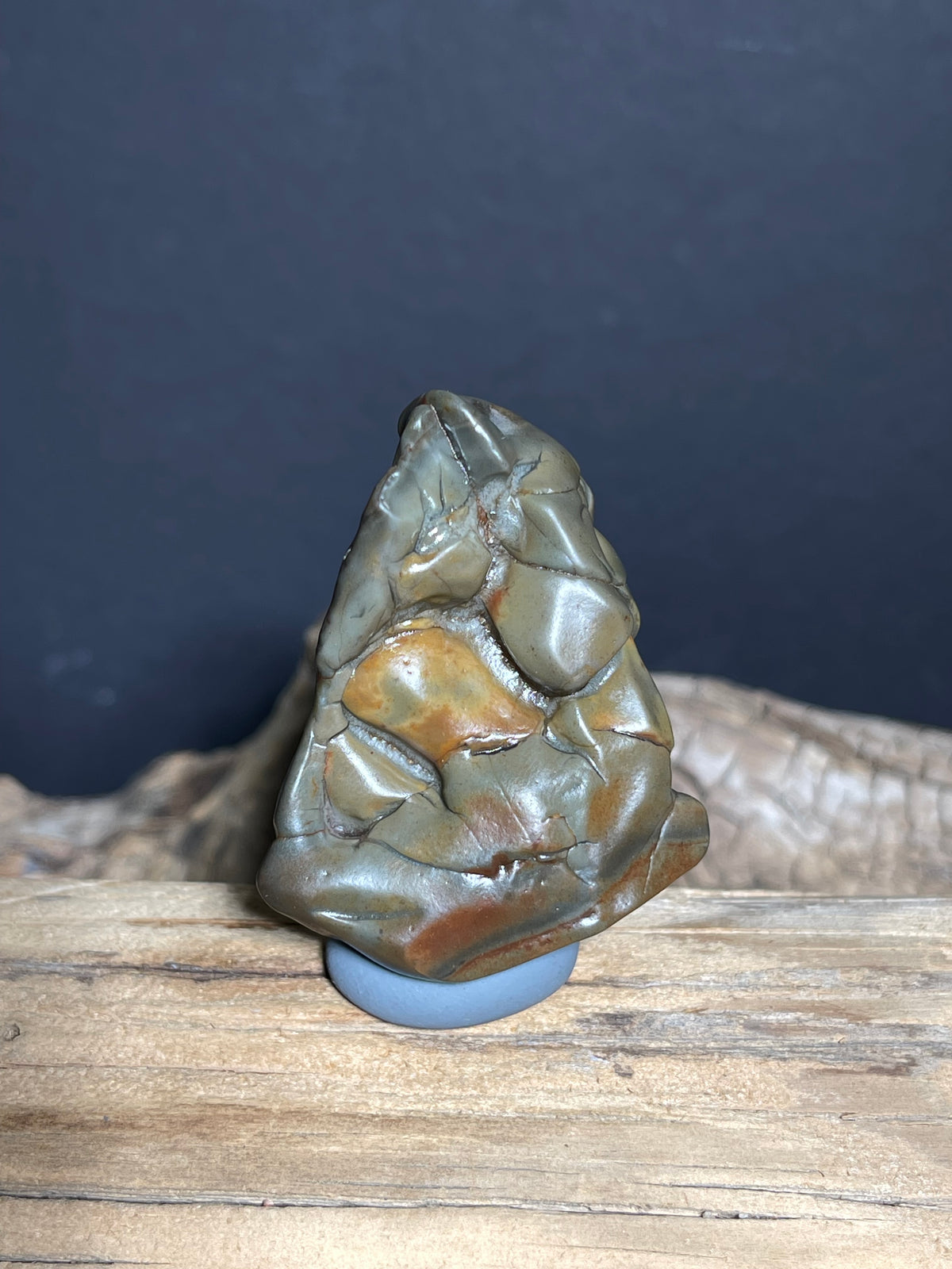 (1047)Natural Alxa Gobi Agate - “Horse Teeth” Sculpture Desert Stone