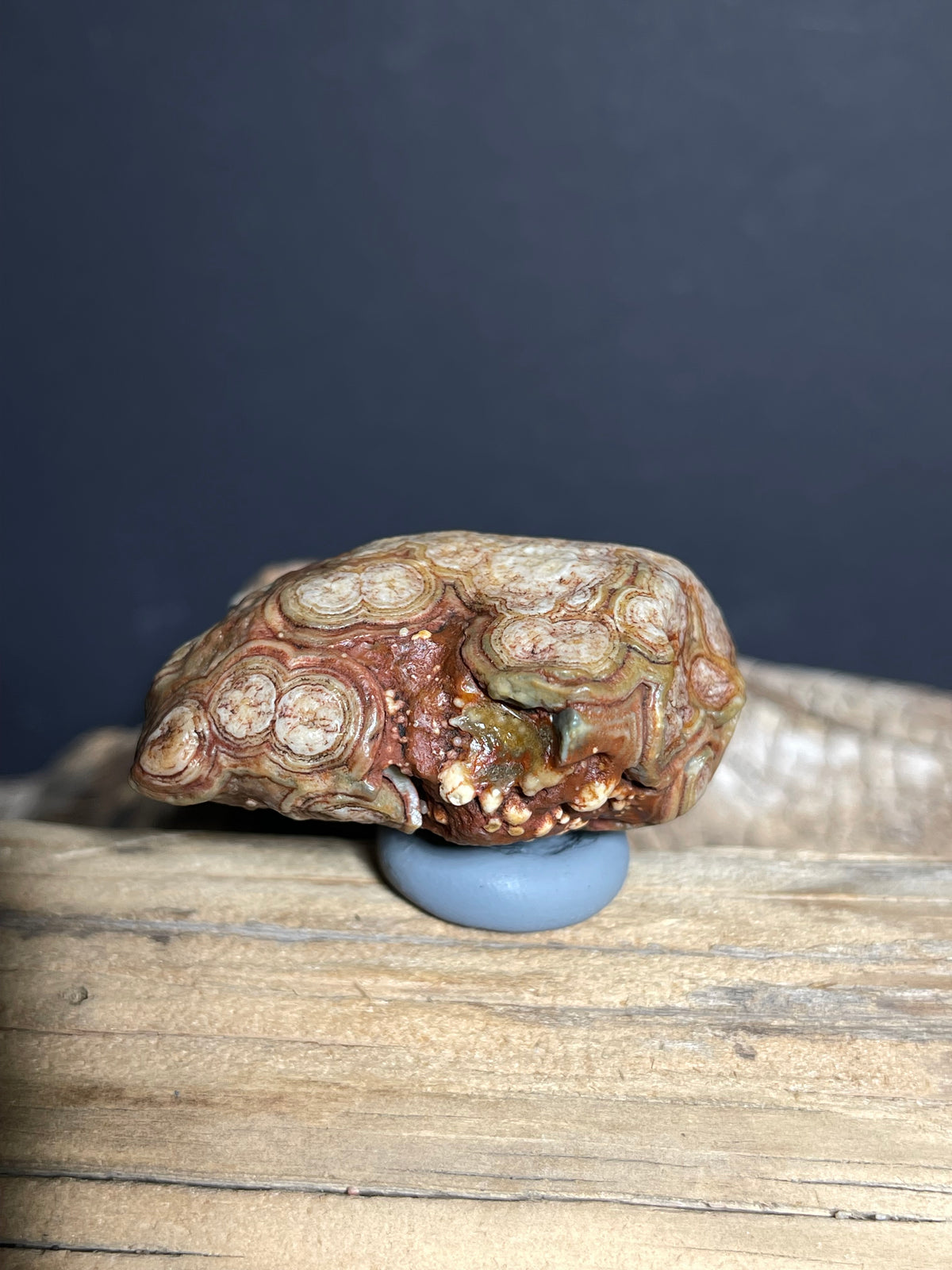 (1096)Natural Alxa Gobi Eye Agate - Multi-Eye Pattern Desert Specimen
