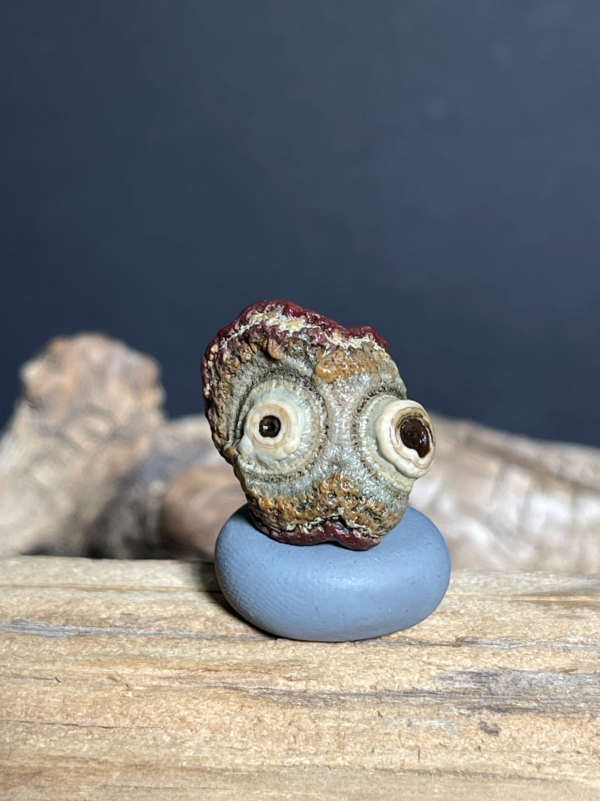 (1089)Natural Alxa Gobi Eye Agate - Double Raised Eyes, Owl-Like Form