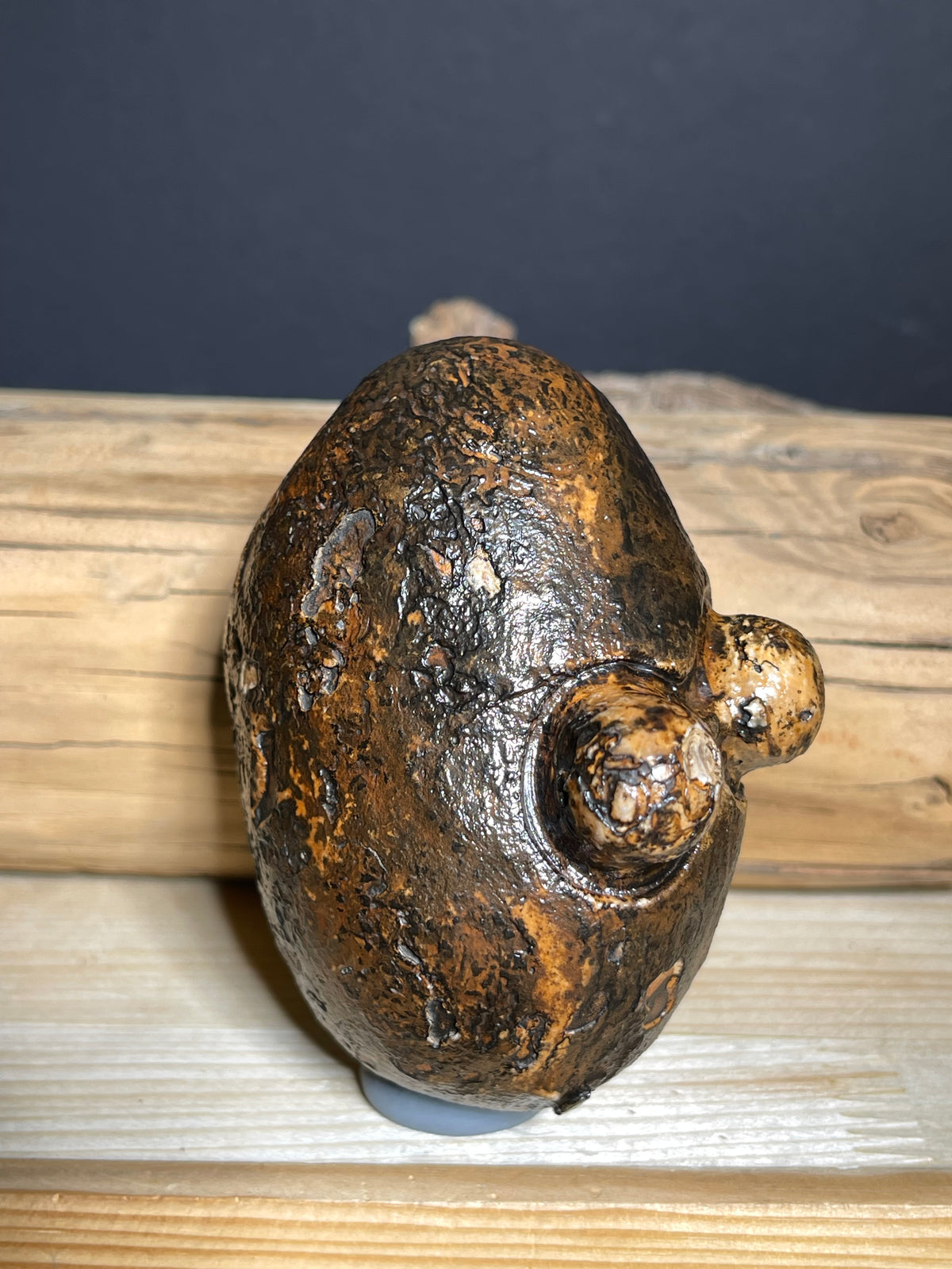 (1028)Natural Egyptian Desert Eye Stone - Face-Like Stone with Two Raised Eyes