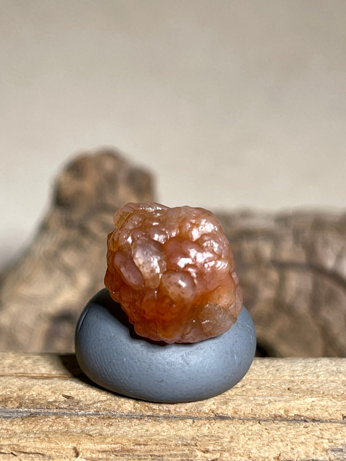 (1118)Natural Alxa Gobi Bloodline Vein Agate - Translucent Orange Botryoidal Specimen