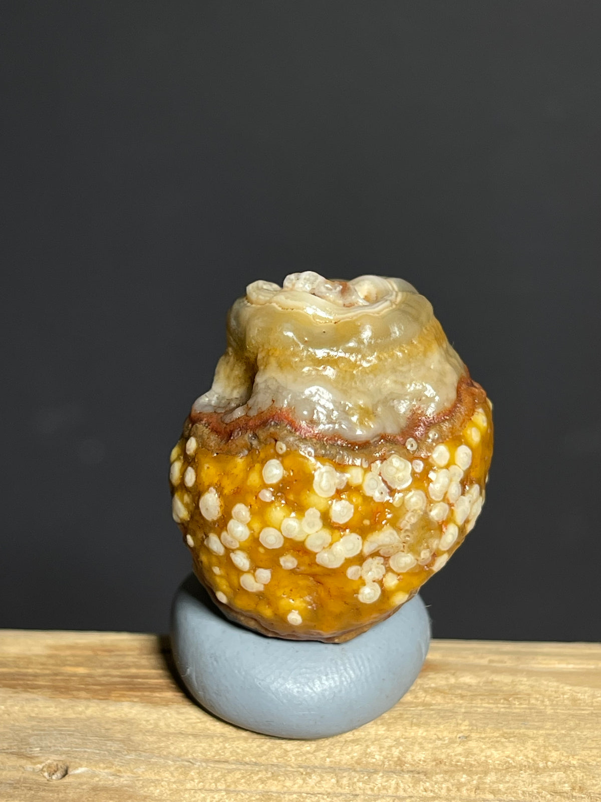 (1137) Natural Alxa Gobi Eye Agate specimen- fish-roe texture& concentric Eye pattern