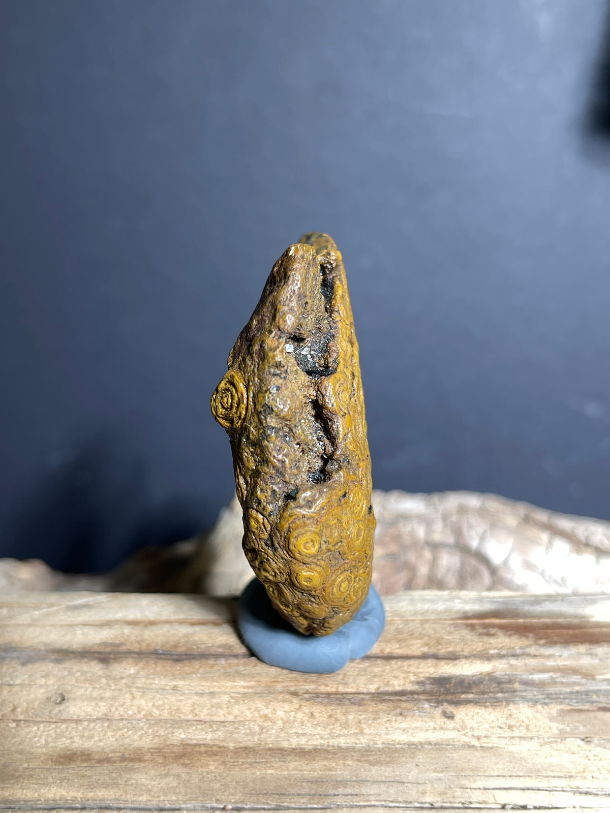 (1006)Natural Alxa Gobi Coin Eye Agate with Dense Concentric Patterns