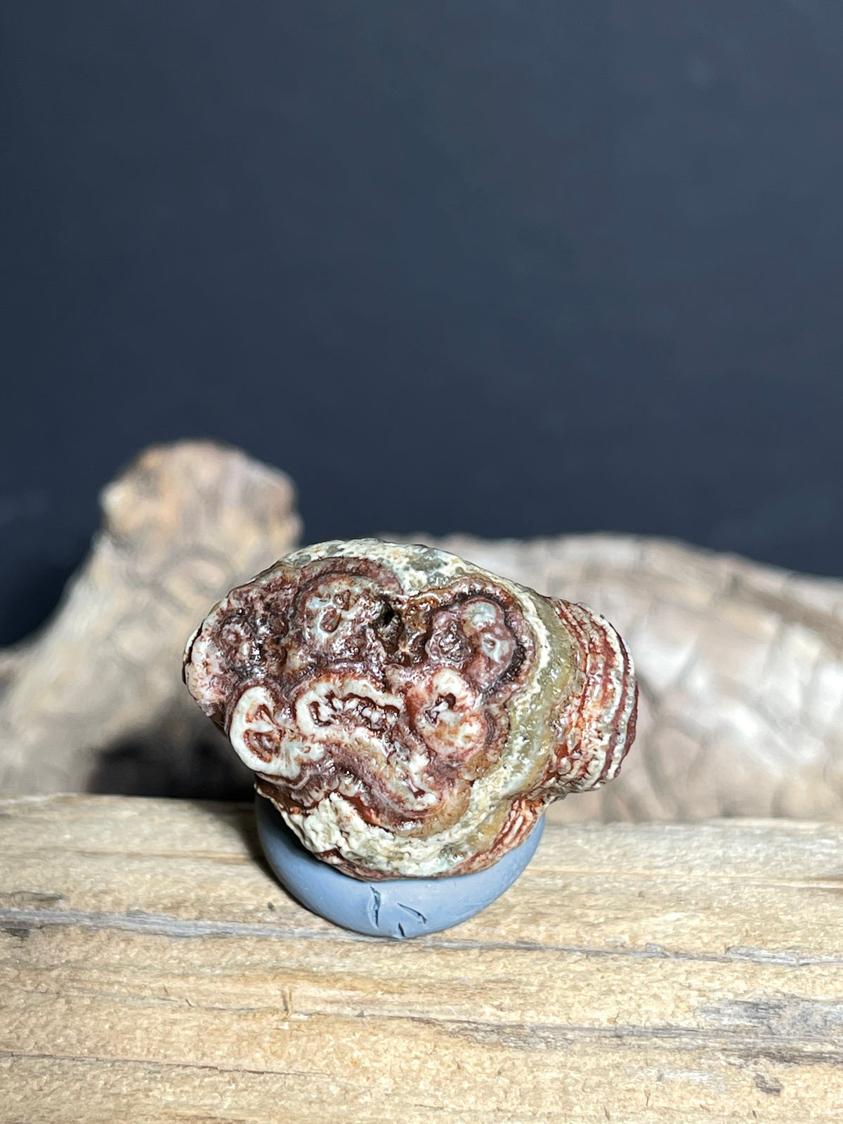 (1093)Natural Alxa Gobi Eye Agate - Orbicular Eye Pattern Specimen
