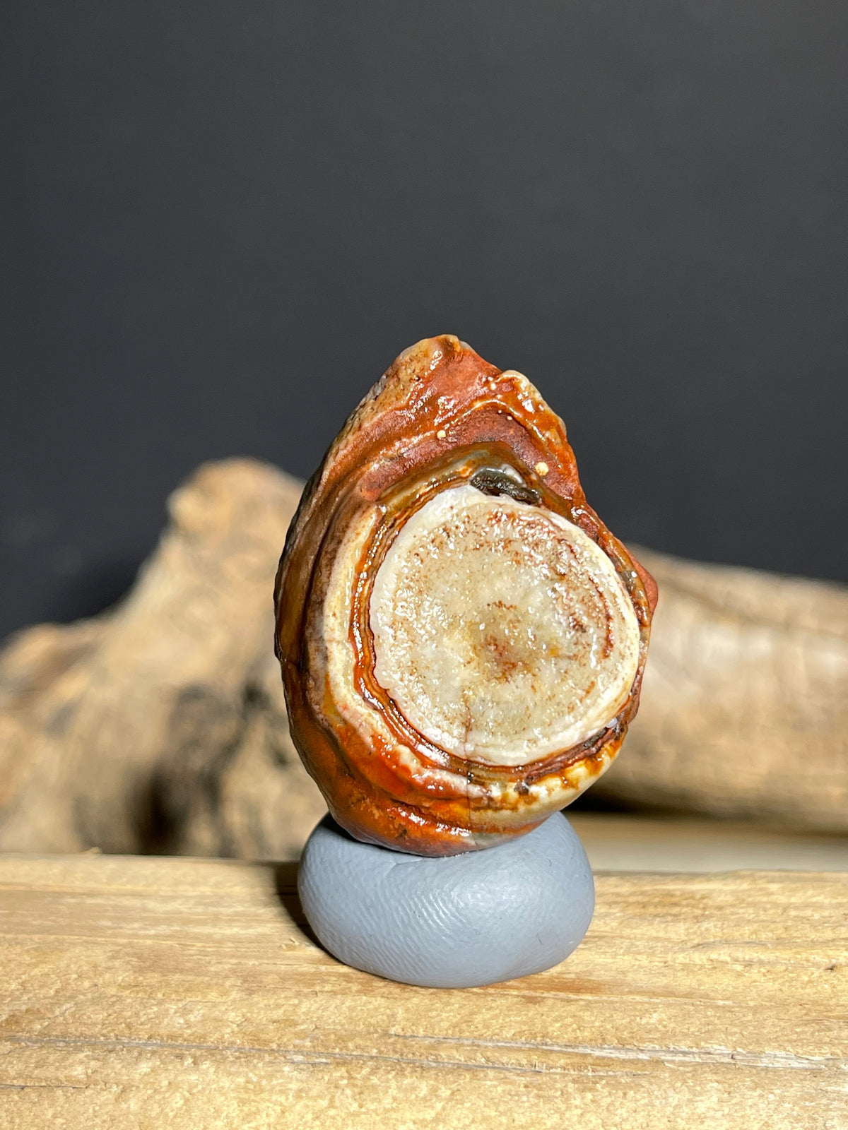 (1130) Natural Alxa Gobi Red Eye Agate- Large Concentric Eye Collector Specimen