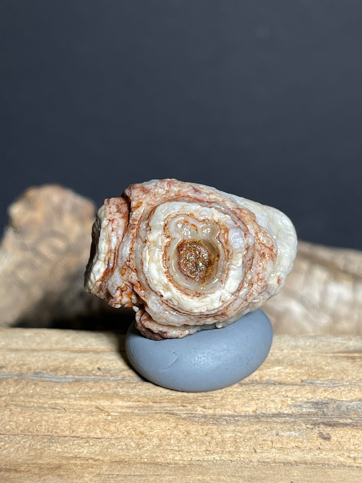 (1097)Natural Alxa Gobi Eye Agate Specimen- Cute Owl-Like Double Eye Pattern