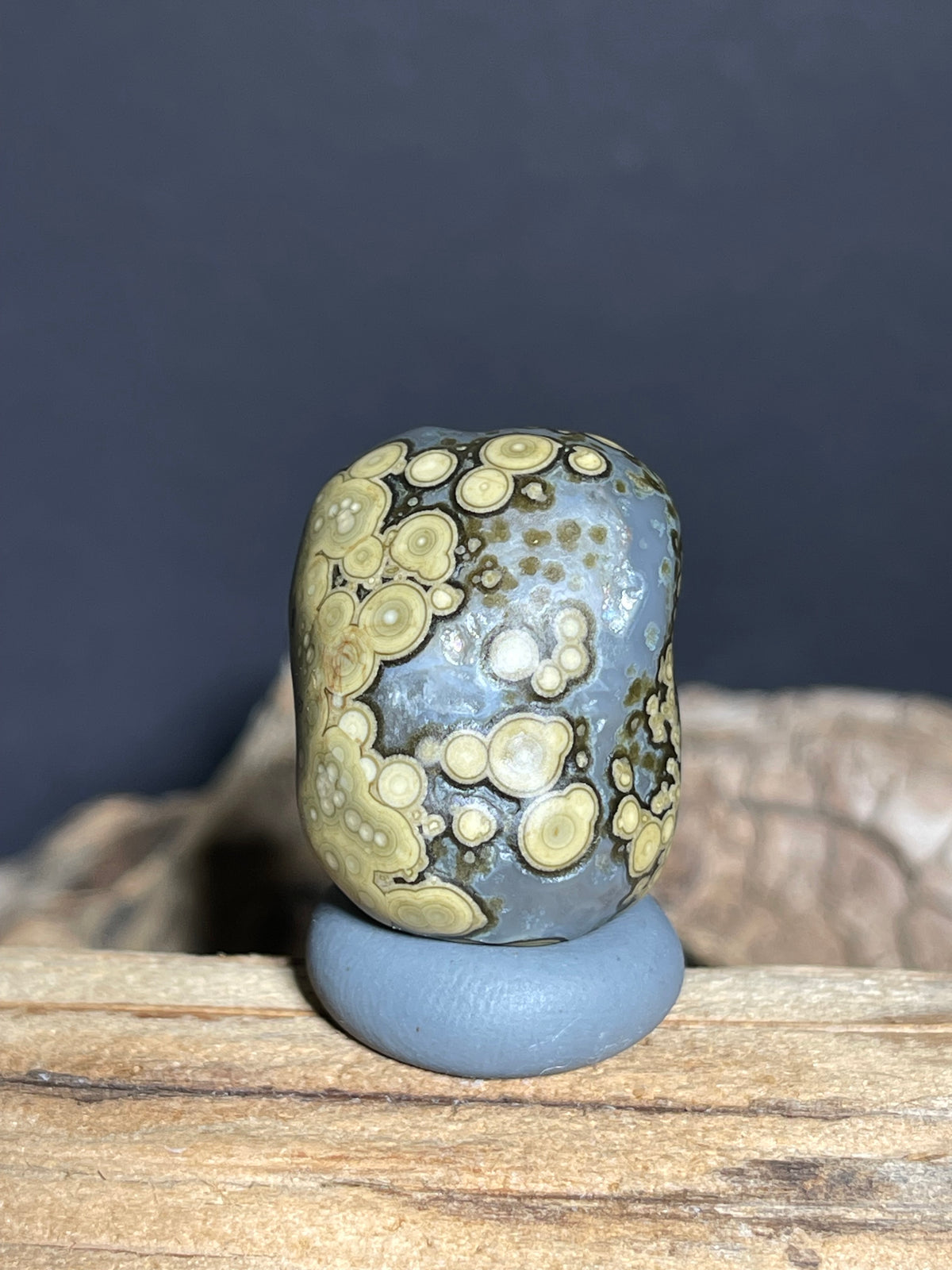 (1019)Natural Alxa Gobi Multi-Eye Agate - Yellow Orbicular Patterns