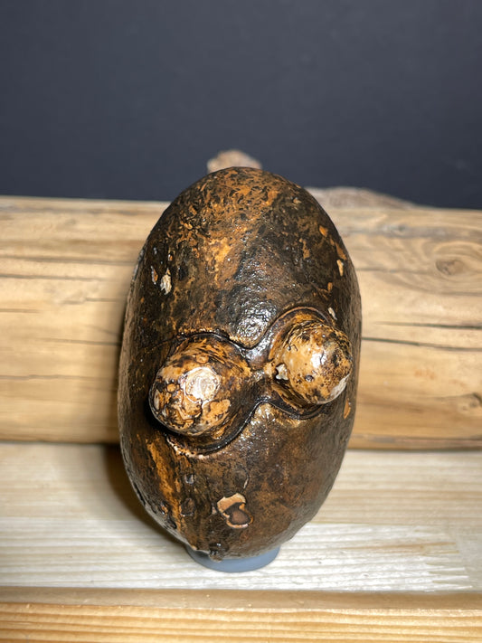 (1028)Natural Egyptian Desert Eye Stone - Face-Like Stone with Two Raised Eyes