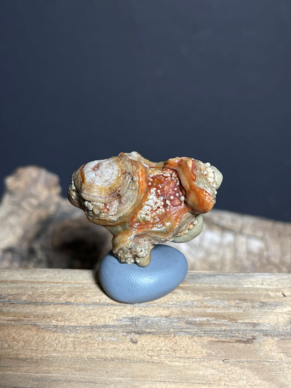 (1099)Natural Alxa Gobi Eye Agate - Multi-Eye Orbicular Stone with Botryoidal Texture