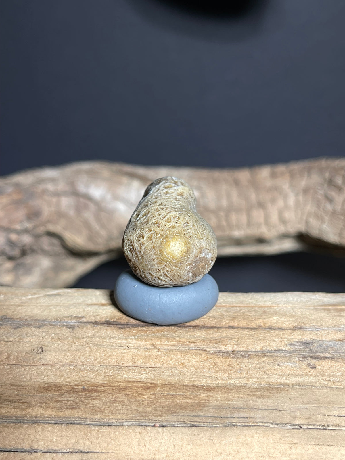 (1065)Natural Alxa Gobi Vein Agate - Dense Branching Vein Patterns