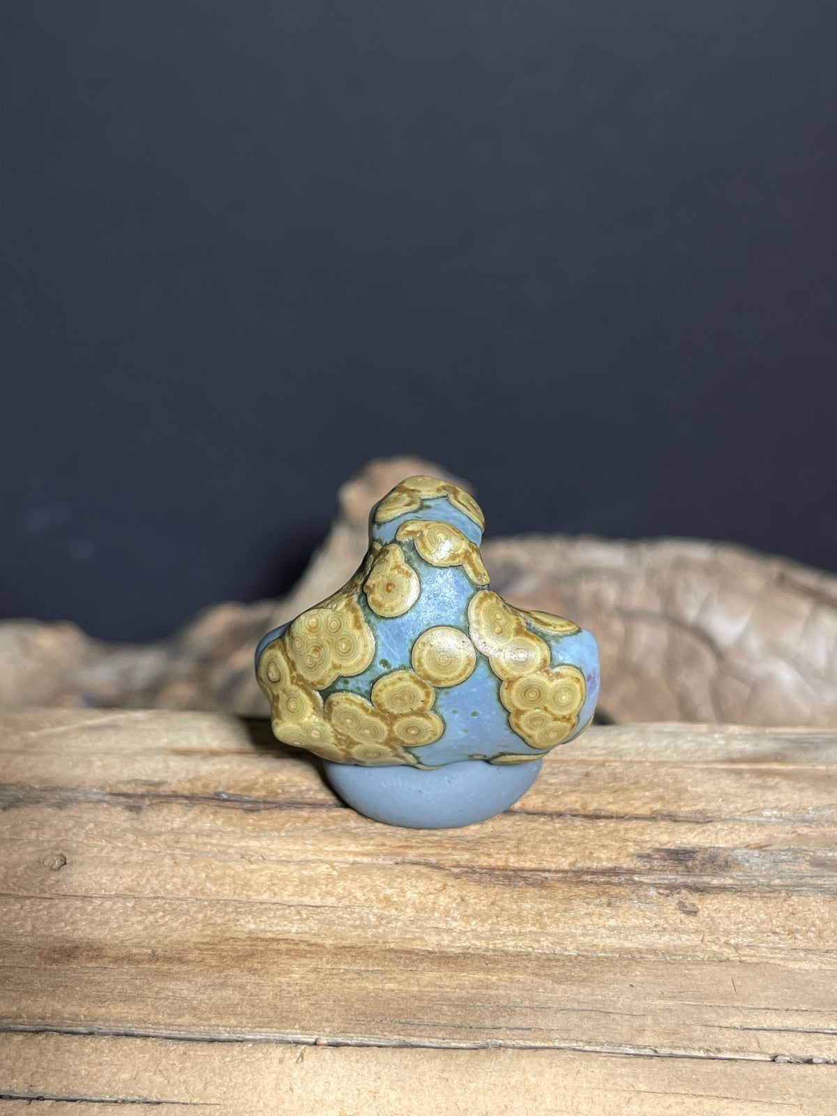 (1018)Natural Alxa Gobi Eye Agate - Blue Gray Stone with Golden Orbicular Eyes