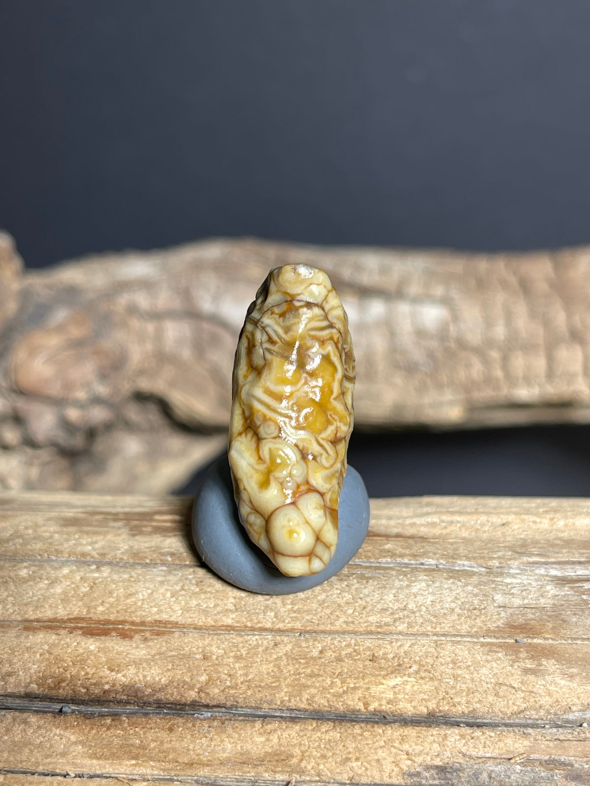(1076)Natural Alxa Gobi Vein Agate - Tooth-Like Shape with Intricate Golden Patterns