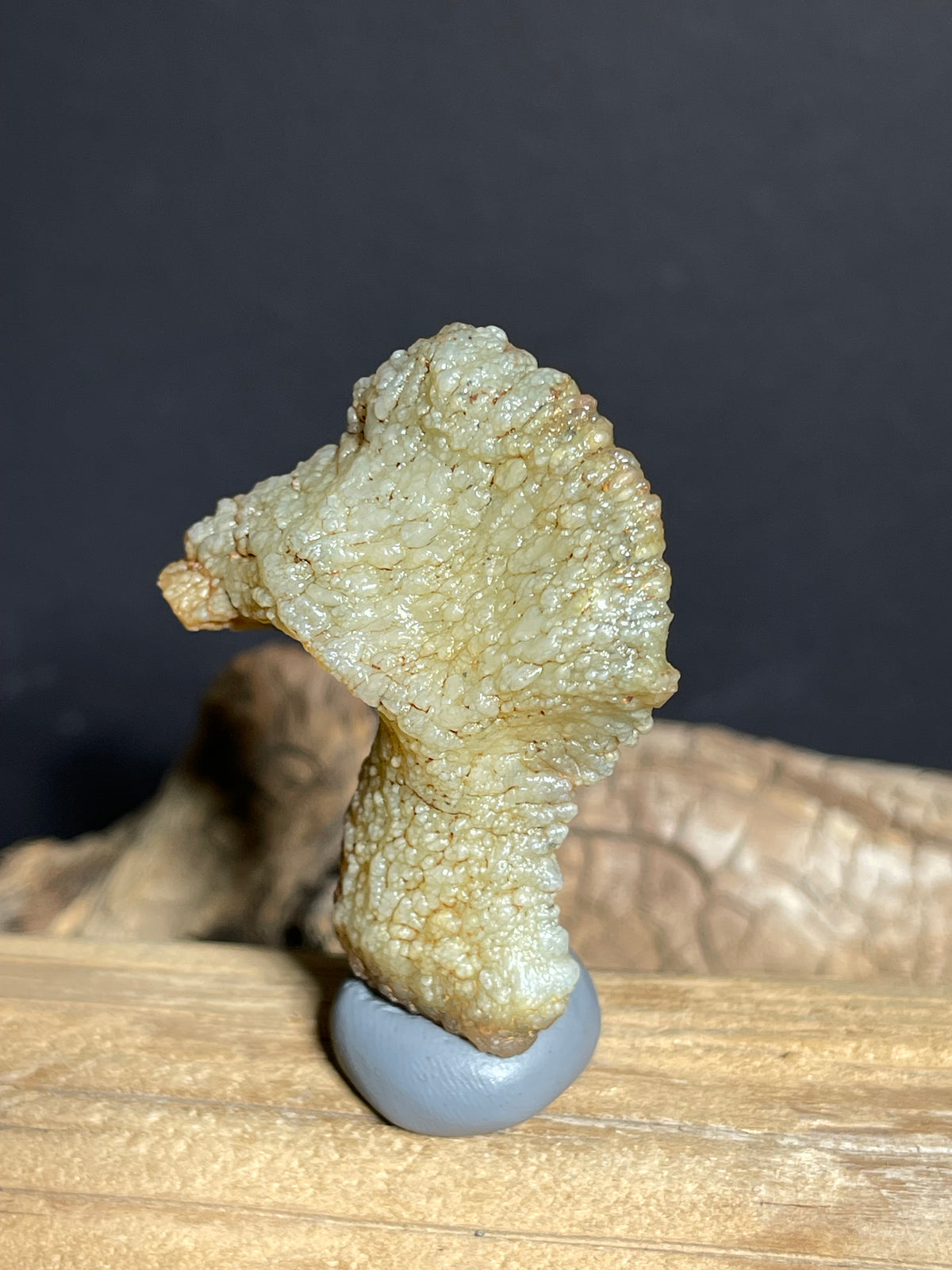 (1131) Natural Alxa Gobi Agate Mimetolith- Bird-Like Form with Botryoidal Texture