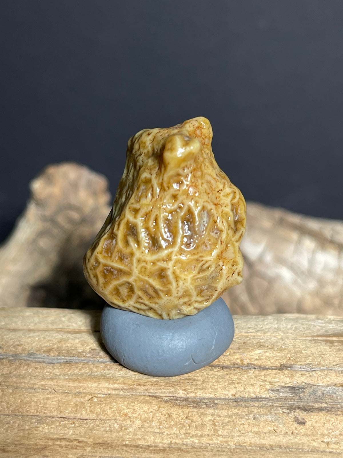 (1082)Natural Alxa Gobi Vein Agate - Golden Yellow Maze pattern