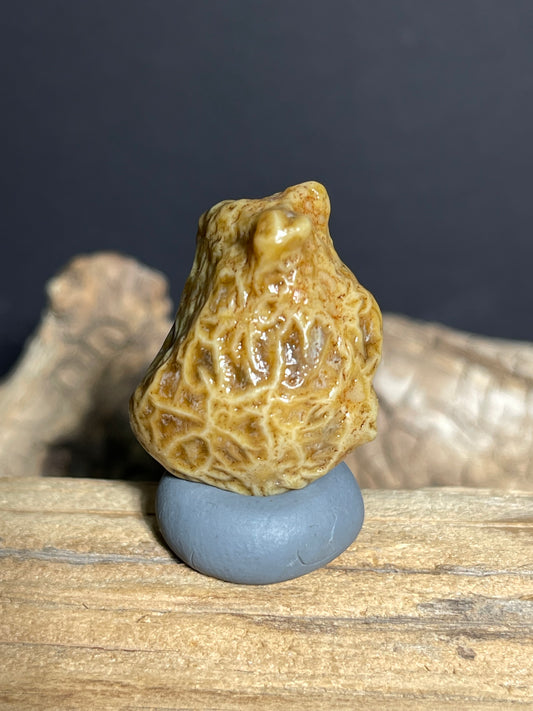 (1082)Natural Alxa Gobi Vein Agate - Golden Yellow Maze pattern