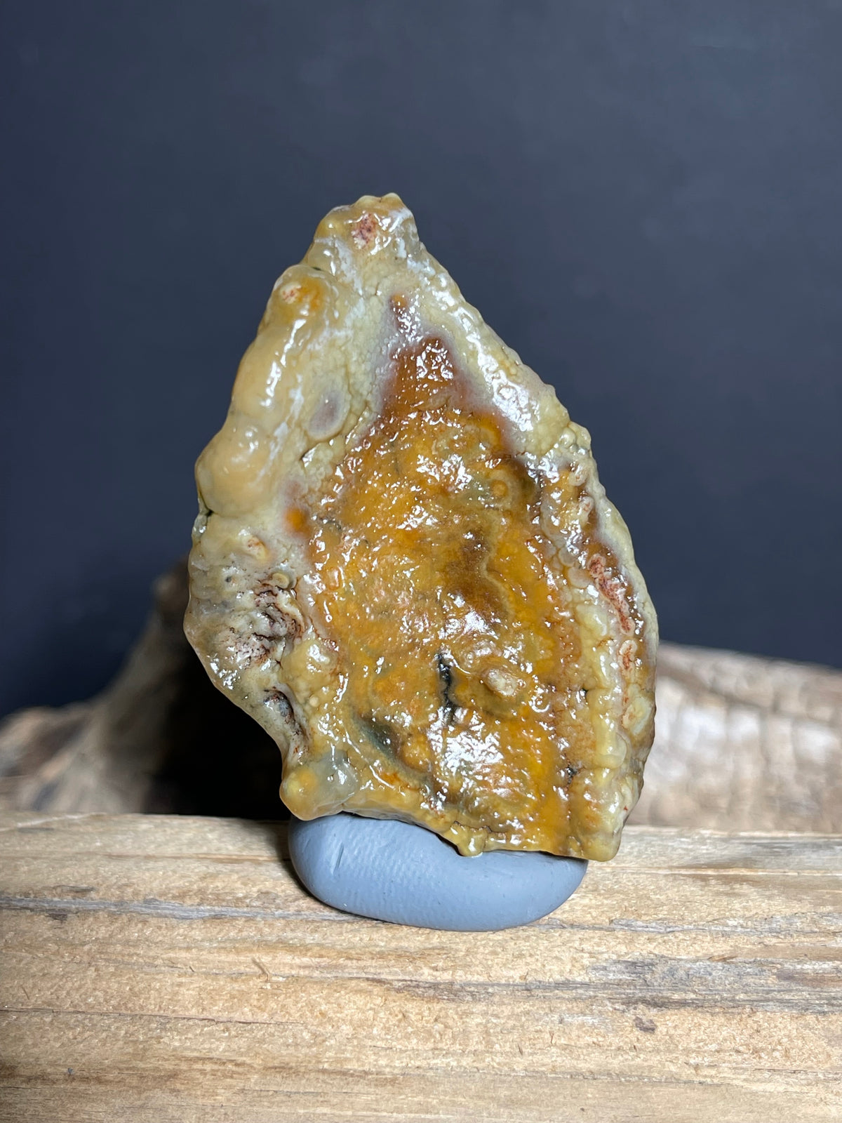 (1095)Natural Alxa Gobi Agate - Golden Botryoidal Desert Specimen