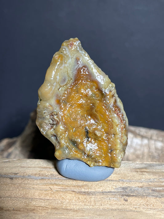 (1095)Natural Alxa Gobi Agate - Golden Botryoidal Desert Specimen