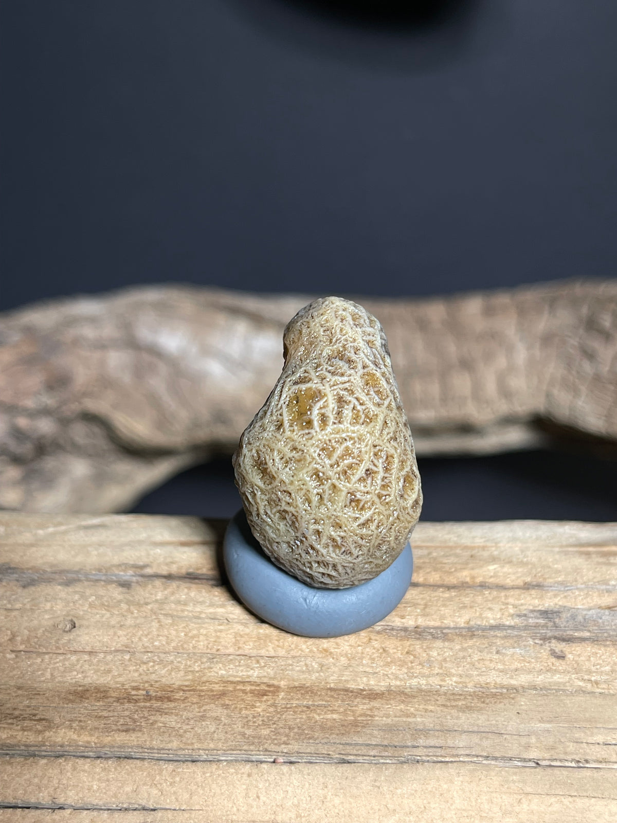 (1065)Natural Alxa Gobi Vein Agate - Dense Branching Vein Patterns