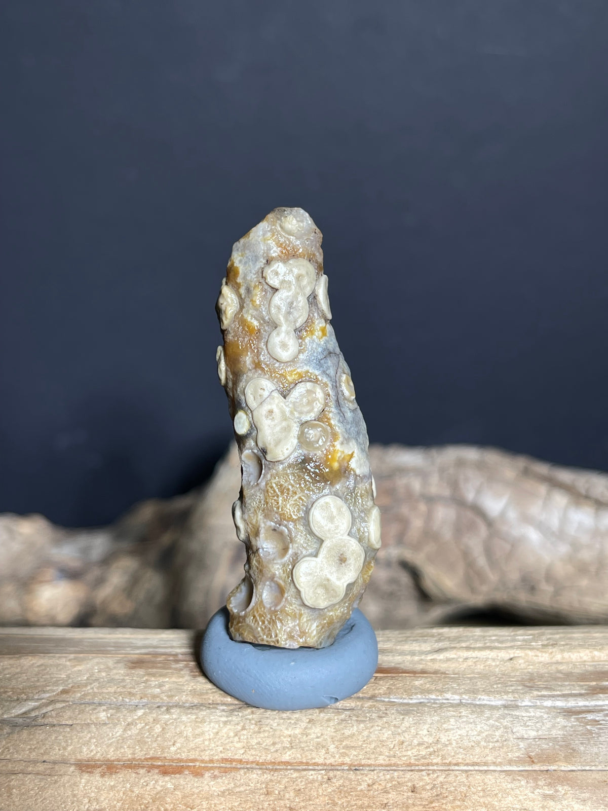(1030)Natural Alxa Gobi Eye Agate - Elongate Stone with Raised Multi-Eye Patterns