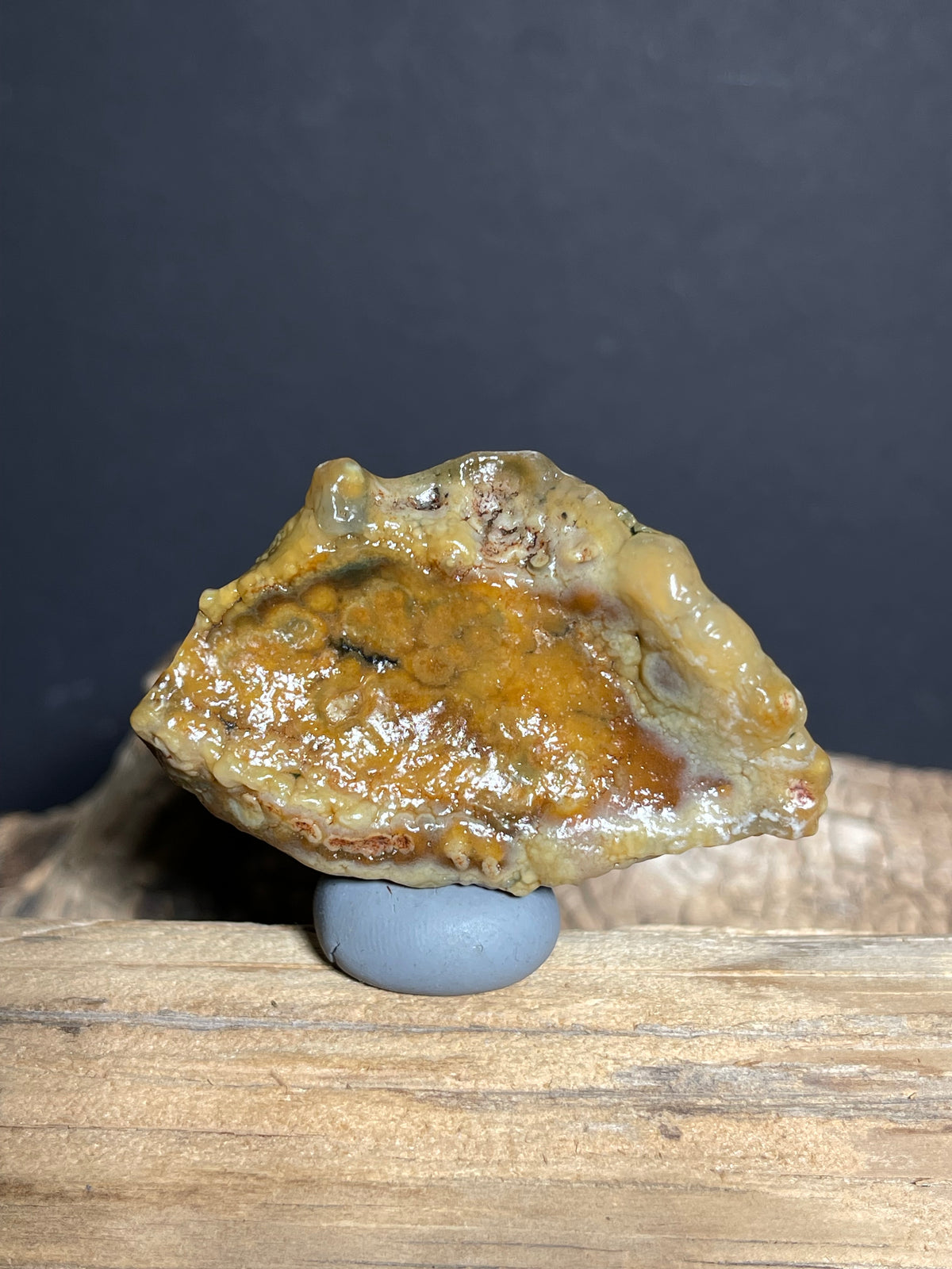 (1095)Natural Alxa Gobi Agate - Golden Botryoidal Desert Specimen