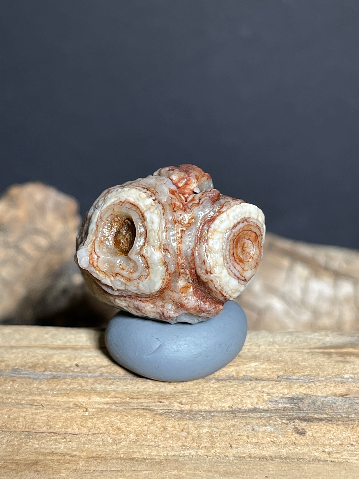 (1097)Natural Alxa Gobi Eye Agate Specimen- Cute Owl-Like Double Eye Pattern