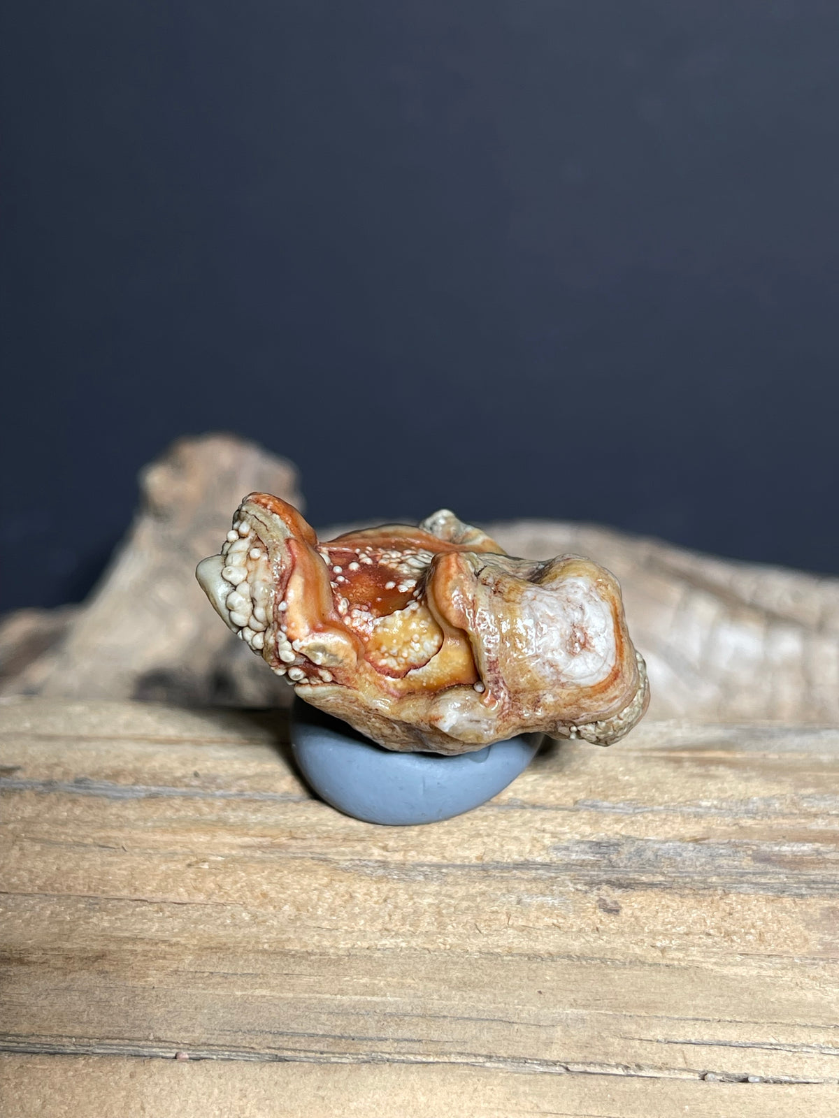 (1099)Natural Alxa Gobi Eye Agate - Multi-Eye Orbicular Stone with Botryoidal Texture